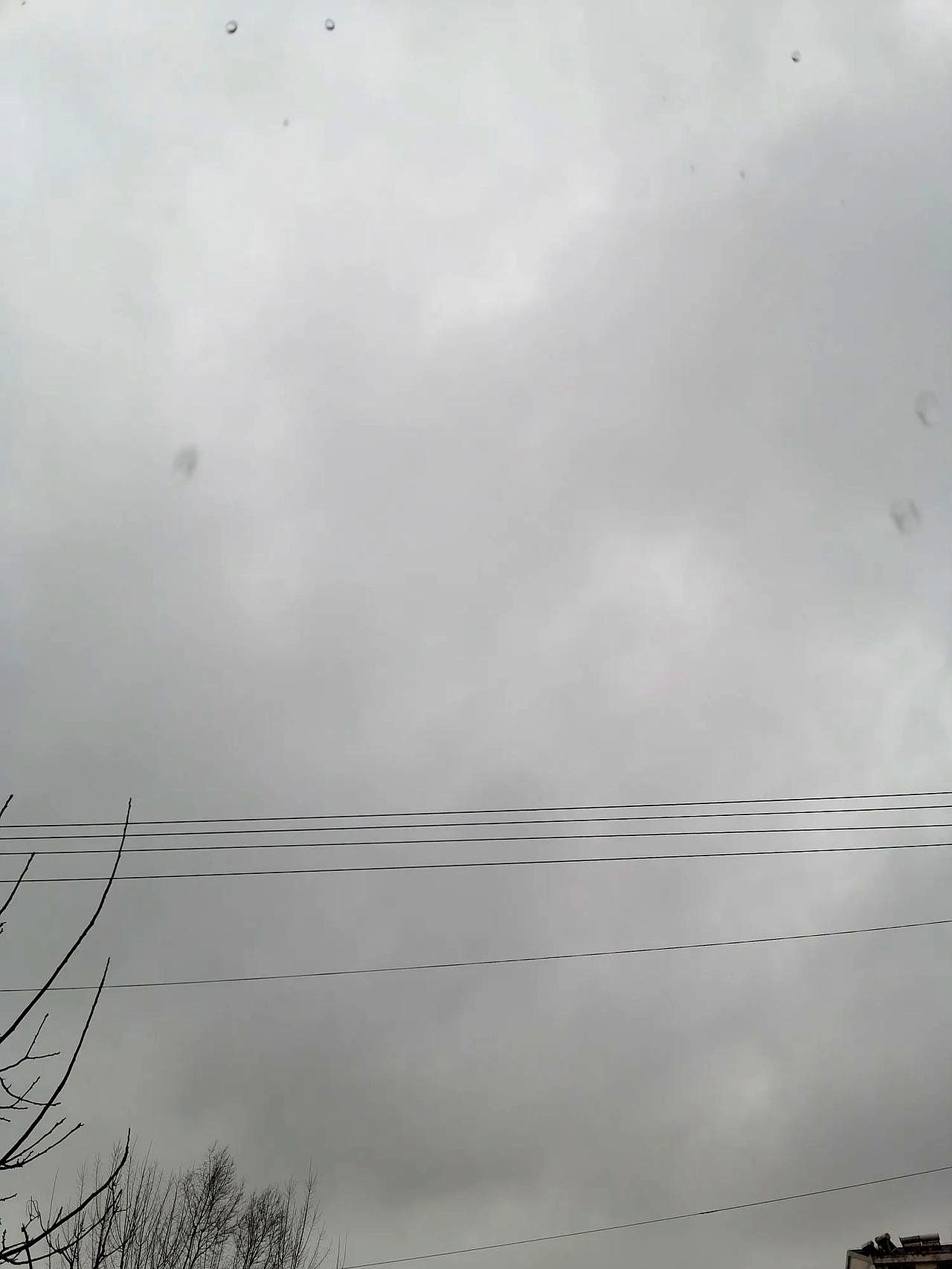 这几天一直阴雨连绵,据说还有冰雪降温要来凑热闹