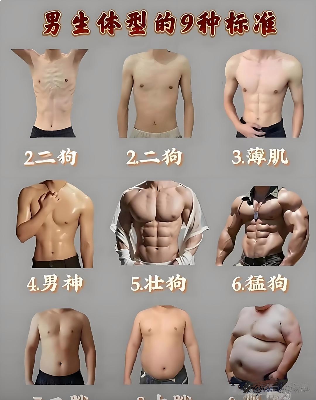 男生有9种标准体型,好多人想成图4和图5那样,可大部分人实际是图1和图