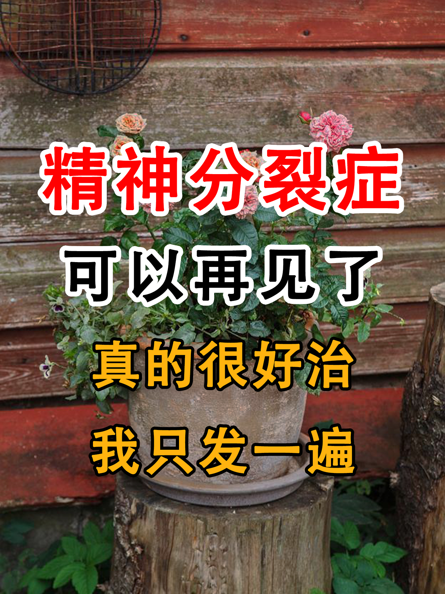精神分列症的征兆是什么意思(精神分列症有啥症状)