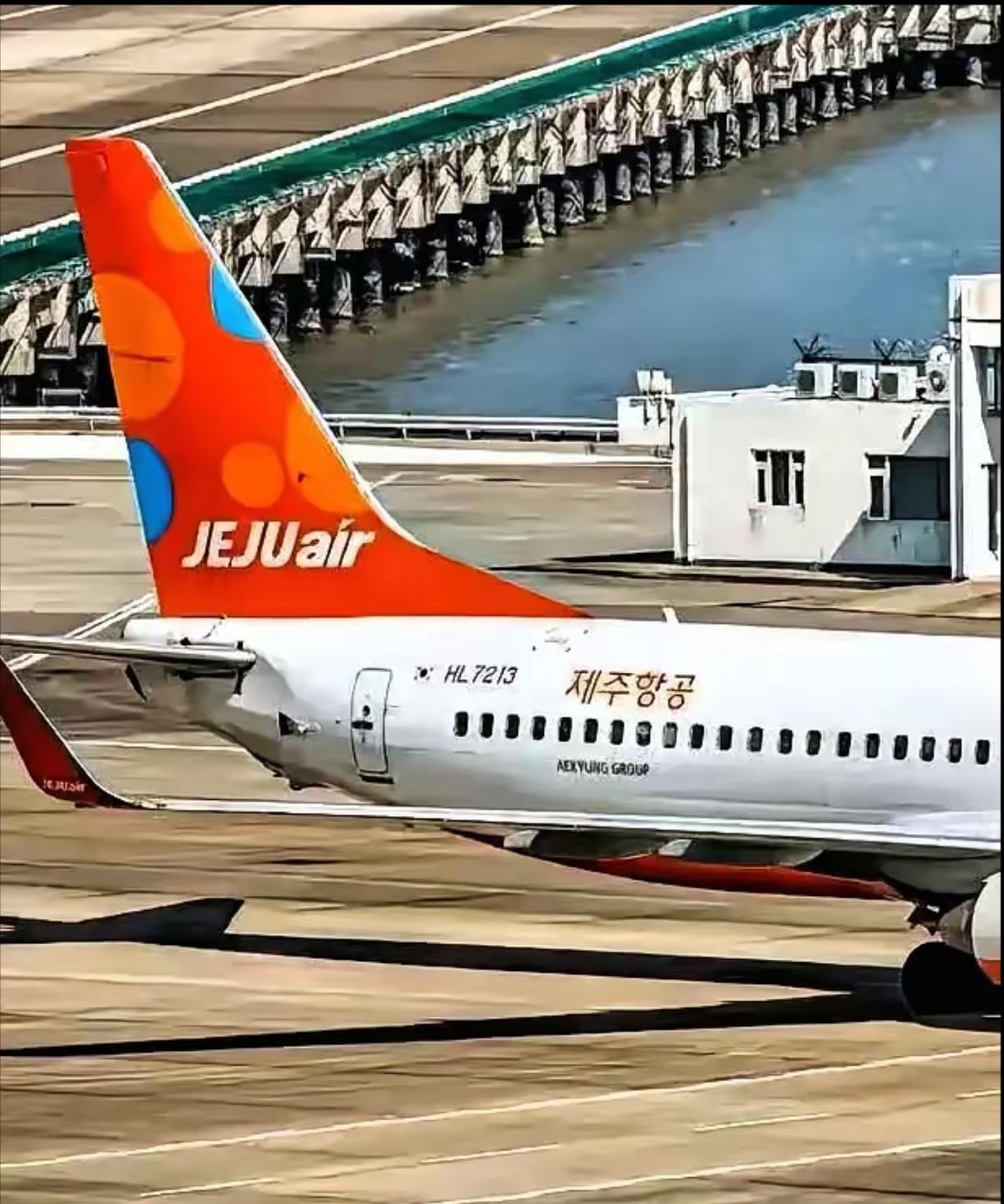 12月29日荷兰皇家航空一架波音737型客机从威挪机场飞往兰荷机场的