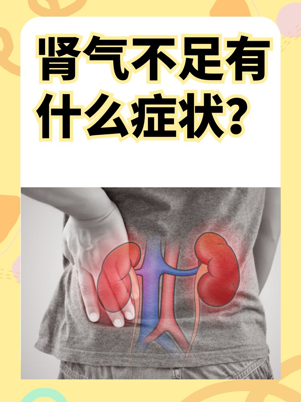 在中医理论中,肾气起着至关重要的作用.