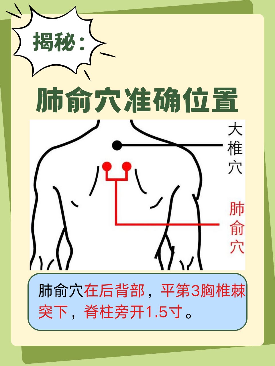 位置  肺,这个听起来就充满神秘感的穴位,对我们的肺部健康有着大作用