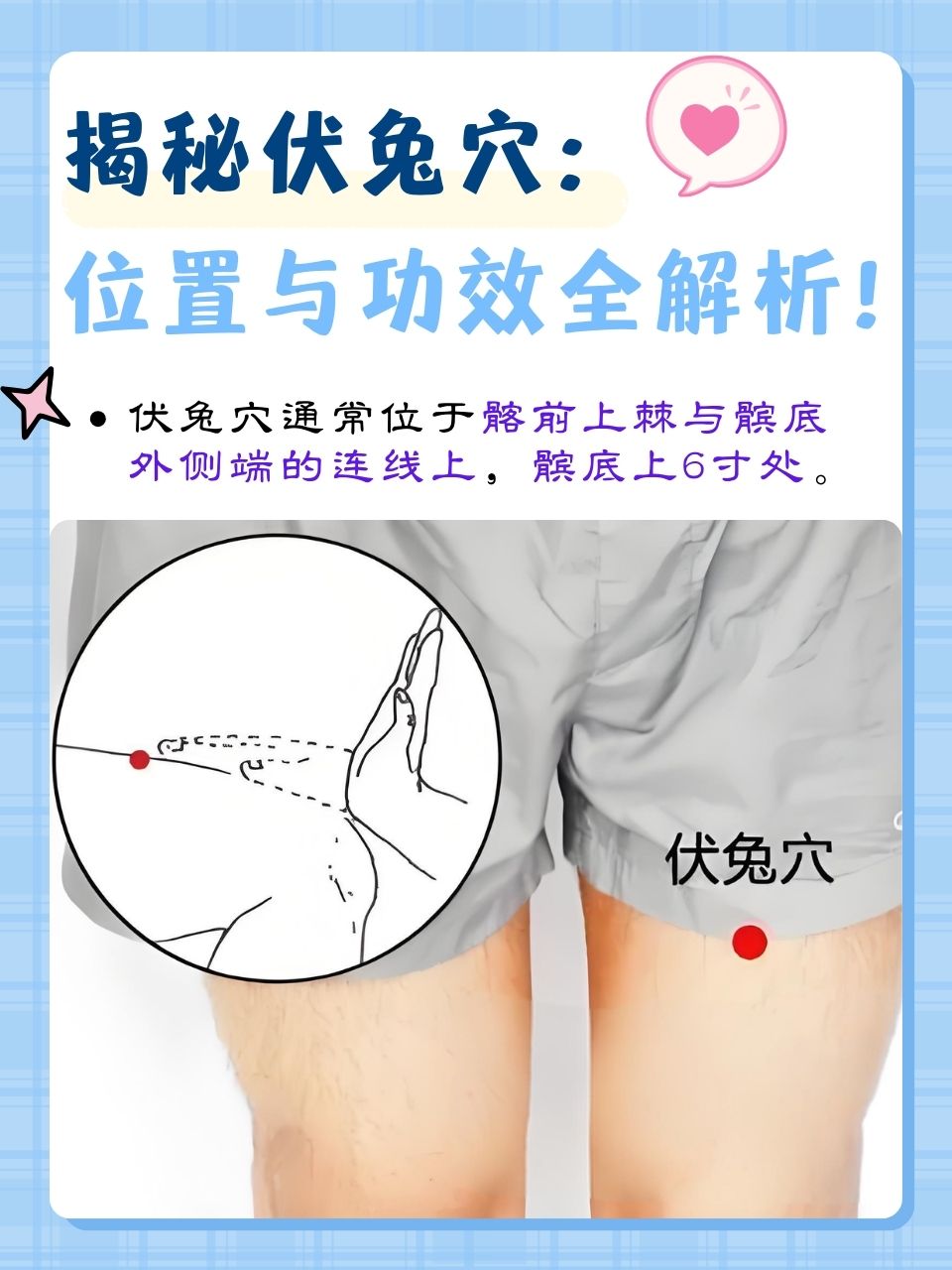 揭秘伏兔穴:位置与功效全解析!