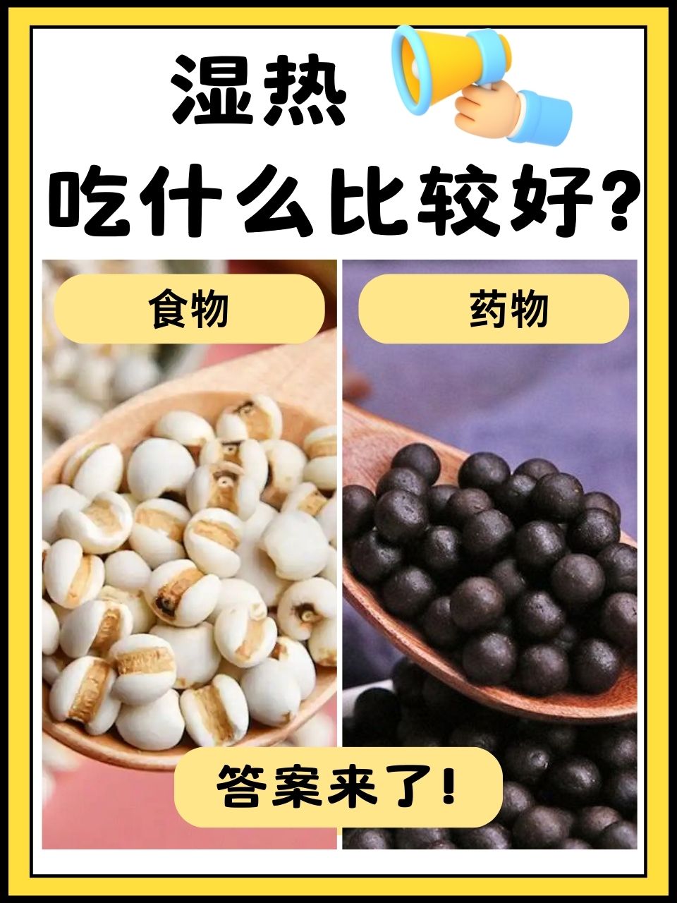 湿热吃什么比较好?答案来了!