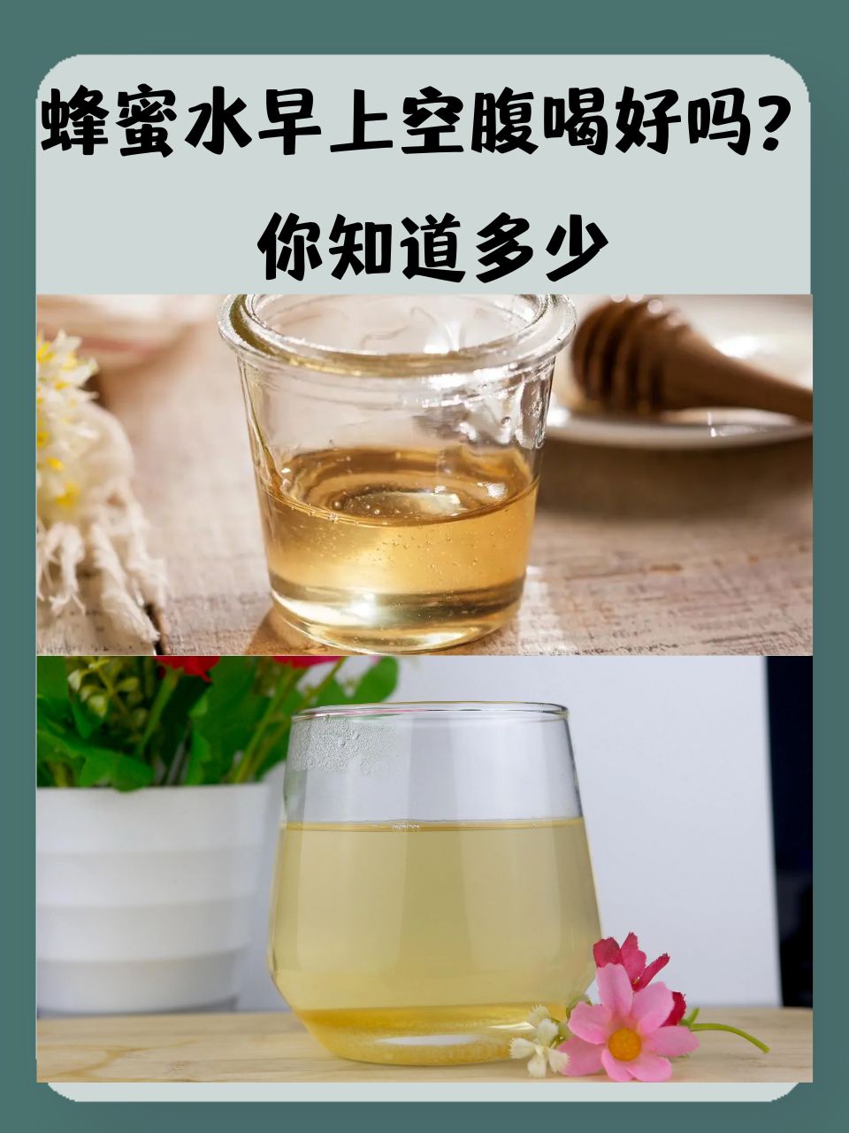 多喝蜂蜜水好不好(多喝蜂蜜水的好处和坏处) 多喝蜂蜜水好不好(多喝蜂蜜水的好处和坏处)