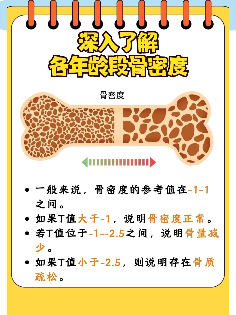 而骨密度,作为衡量骨骼健康的重要指标,在不同年龄段呈现出密度值各不