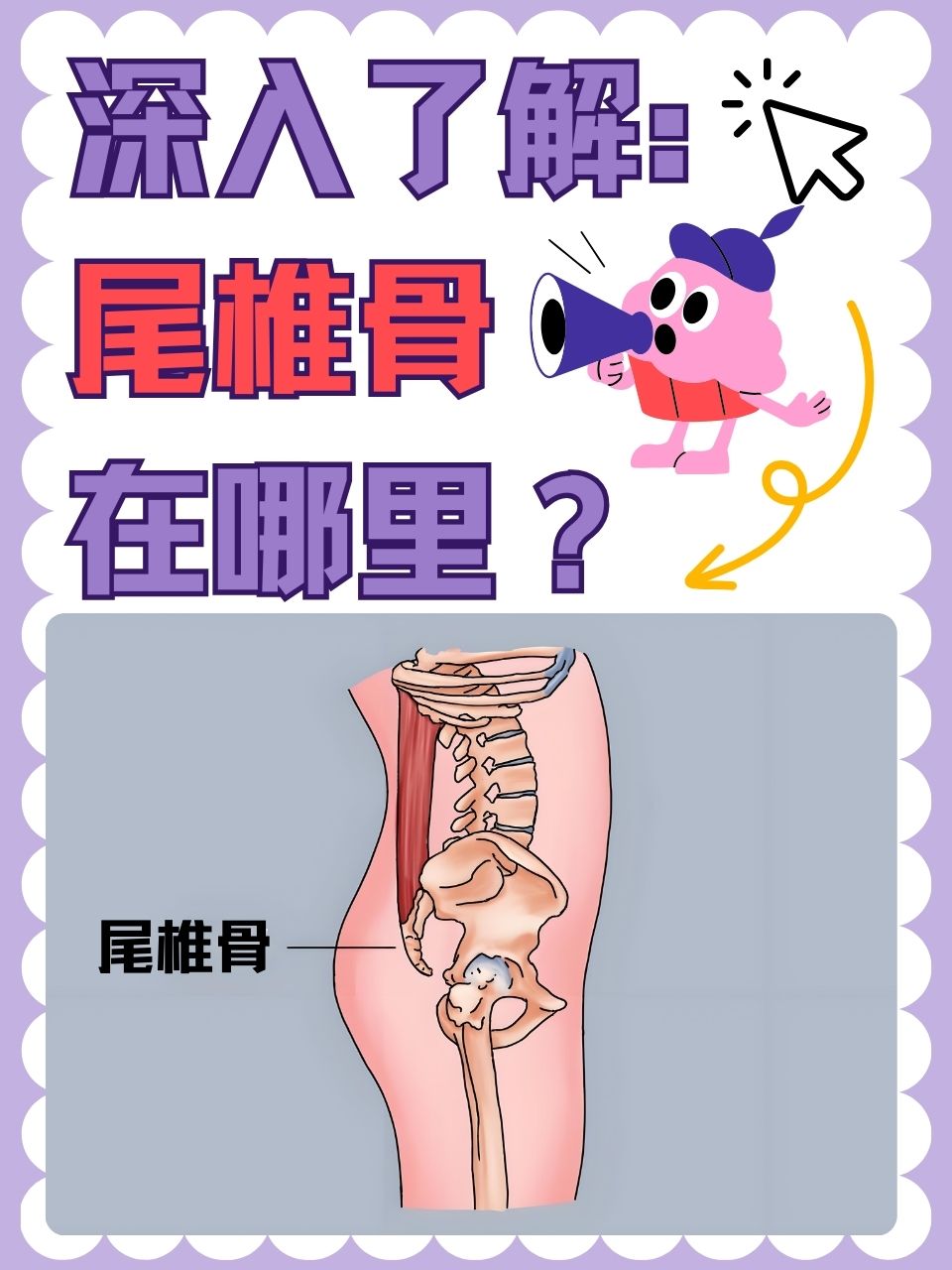 孕妇尾巴骨疼是什么情况百科在线 孕妇尾巴骨疼是什么情况百科在线