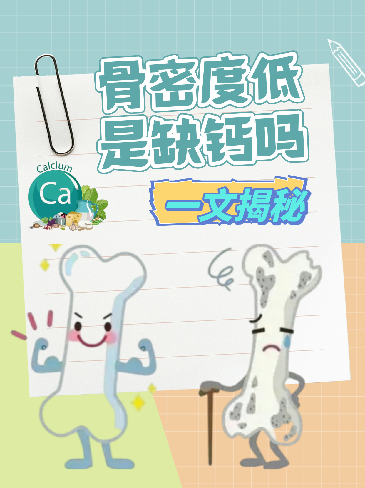 骨密度作为衡量骨骼强壮程度的重要指标,其降低往往引发人们对钙质