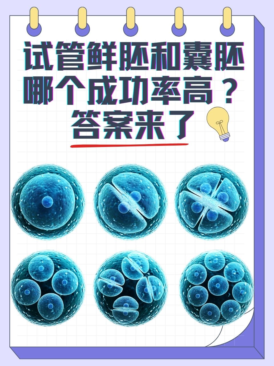 试管鲜胚好还是囊胚好_试管鲜胚跟囊胚有什么区别  第2张