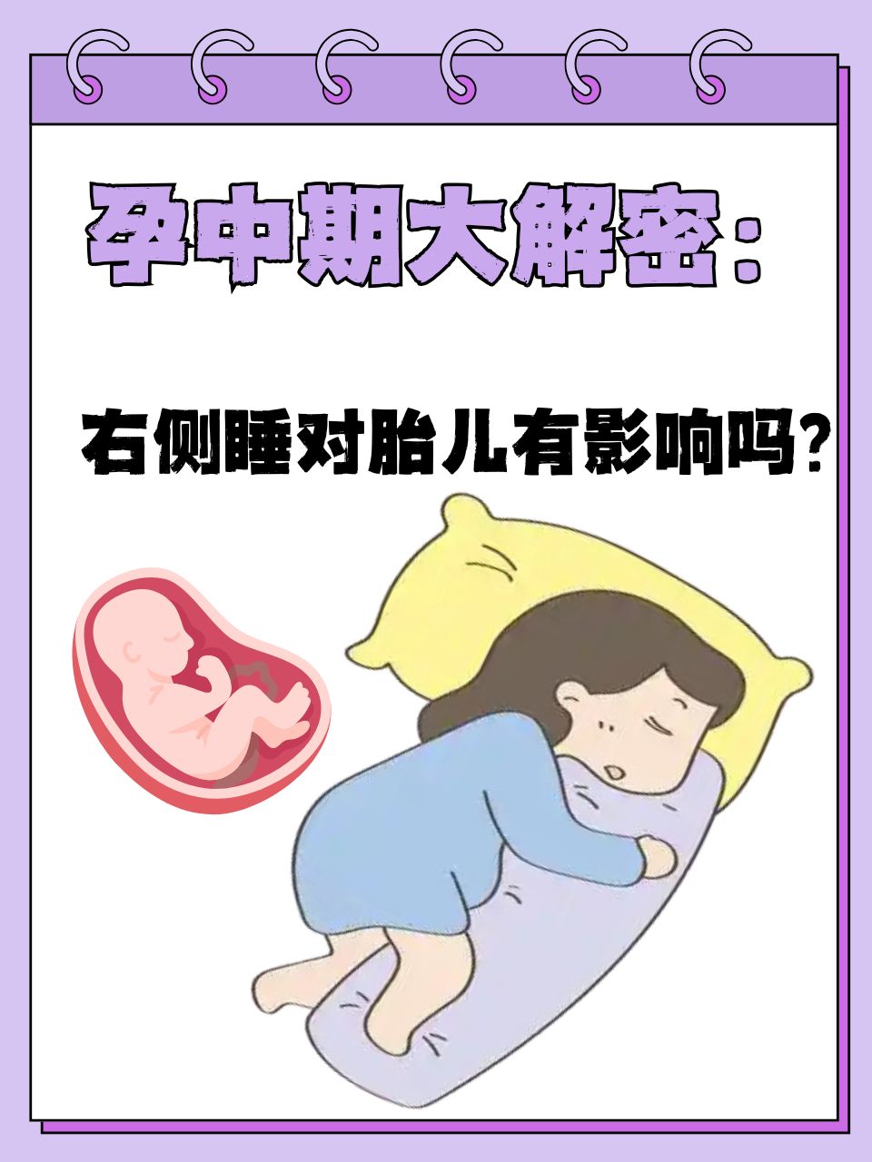 在孕中期,随着胎儿