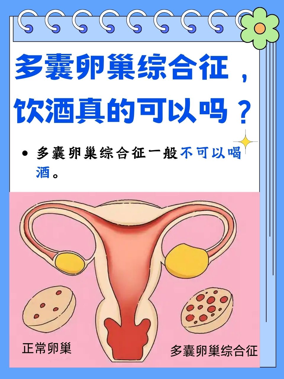 多卵巢囊泡(卵巢囊泡就是卵泡吗)  第2张