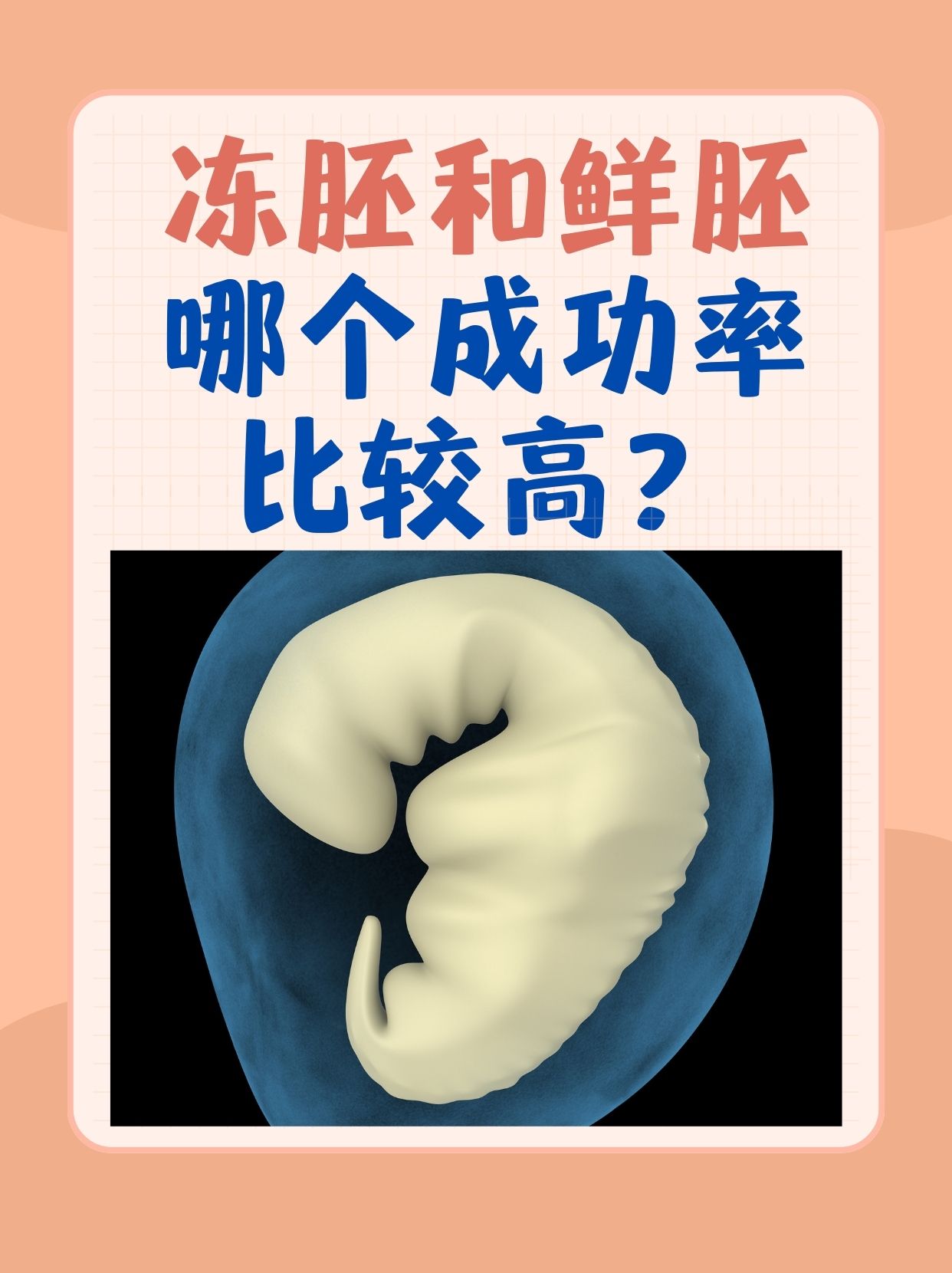 为什么移植鲜胚_为什么移植鲜胚容易失败  第2张