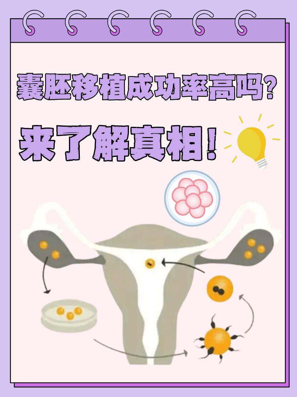 做试管的成功率高不高_做试管的成功率高不高呀
