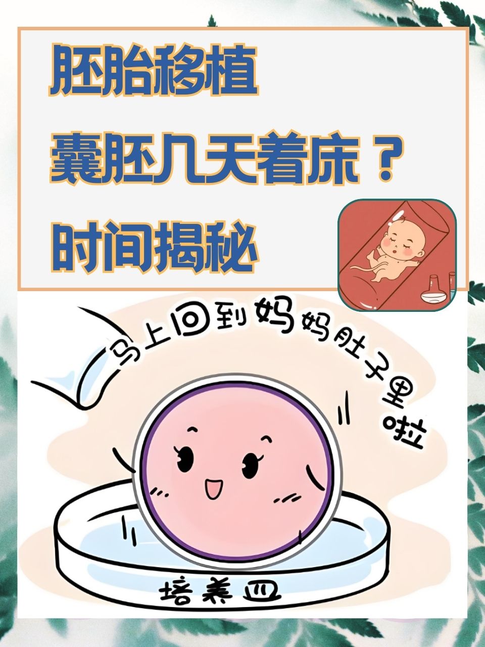 胚胎移植和囊胚移植的区别(用胚胎移植还是囊胚胎移植成功率高)  第2张