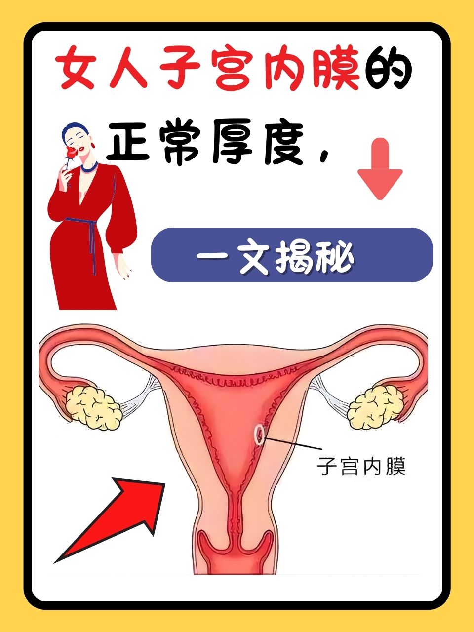 女人子宫内膜的正常厚度,一文揭秘