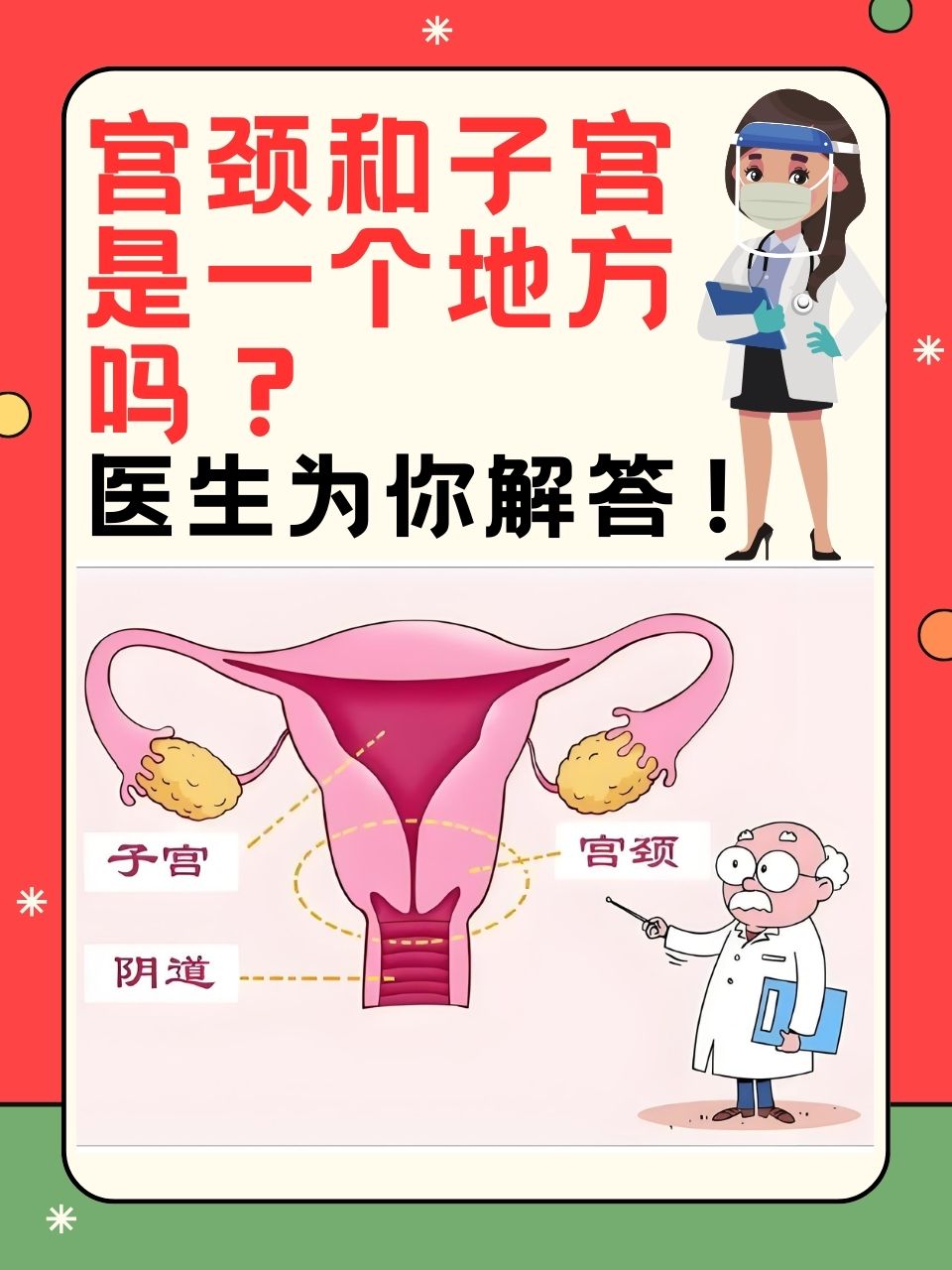 双子宫位置图片图片