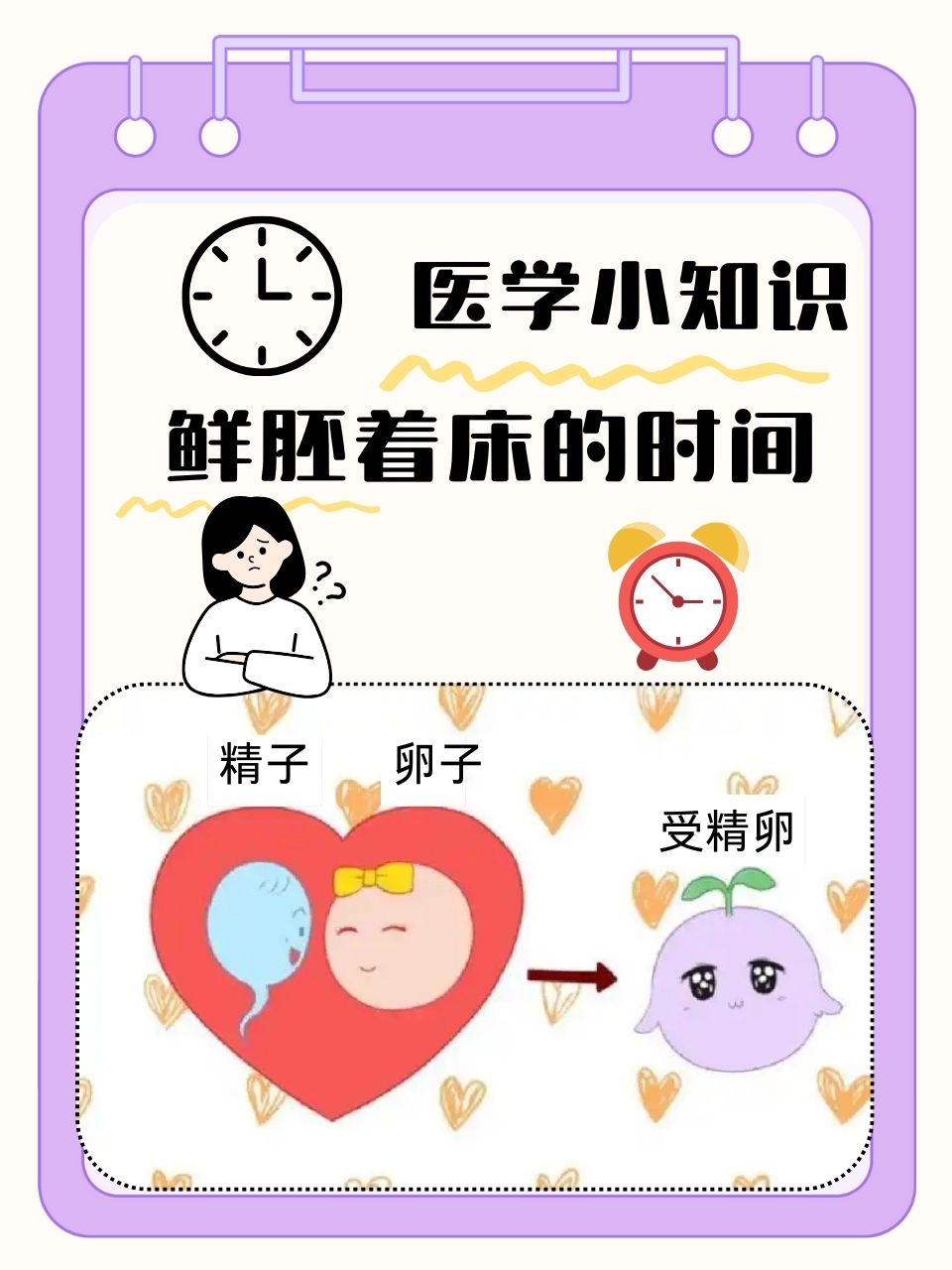 5天囊胚移植的着床过程_5天囊胚移植的着床过程视频  第2张
