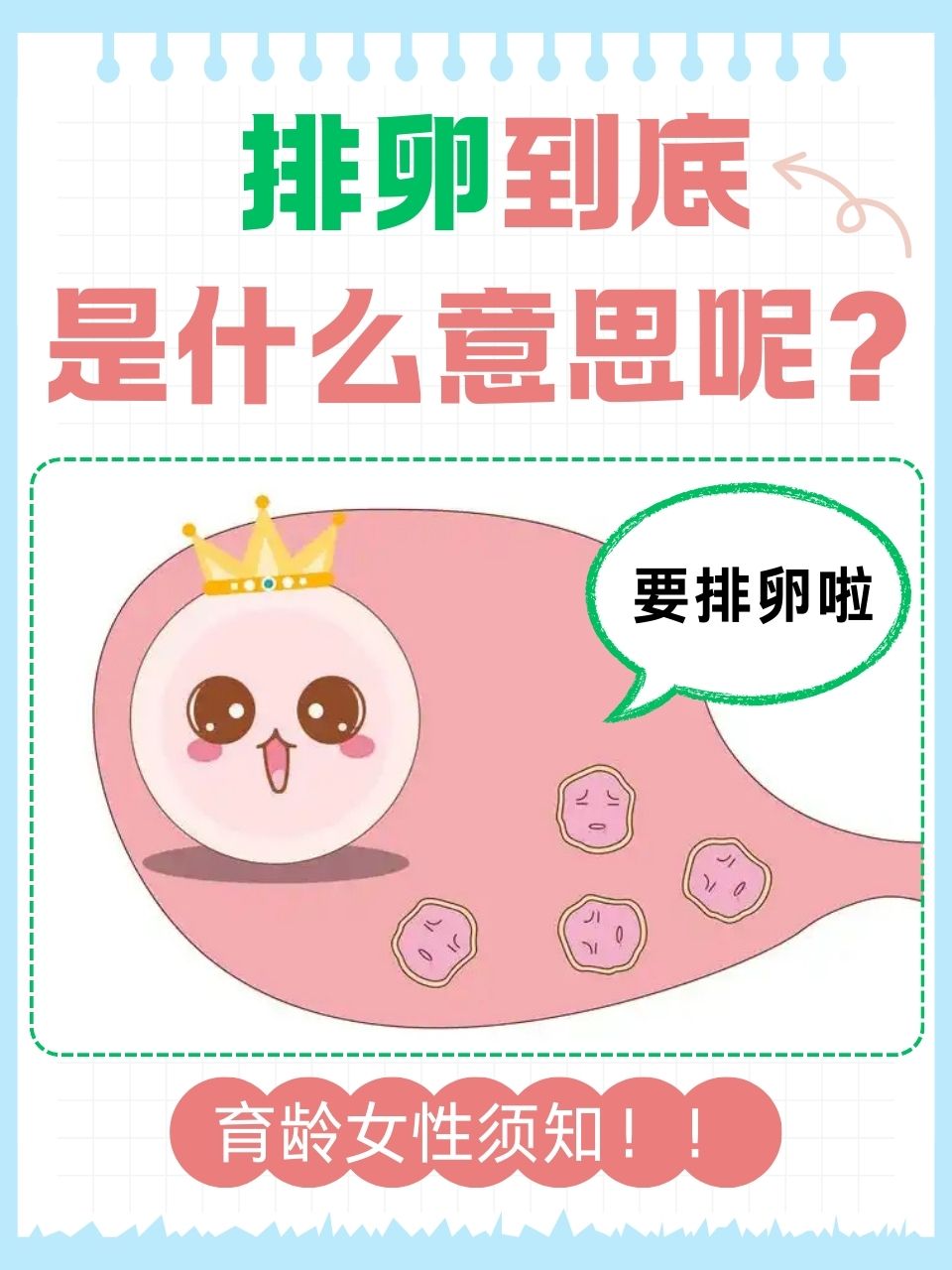 什么是卵子_什么是卵泡期
