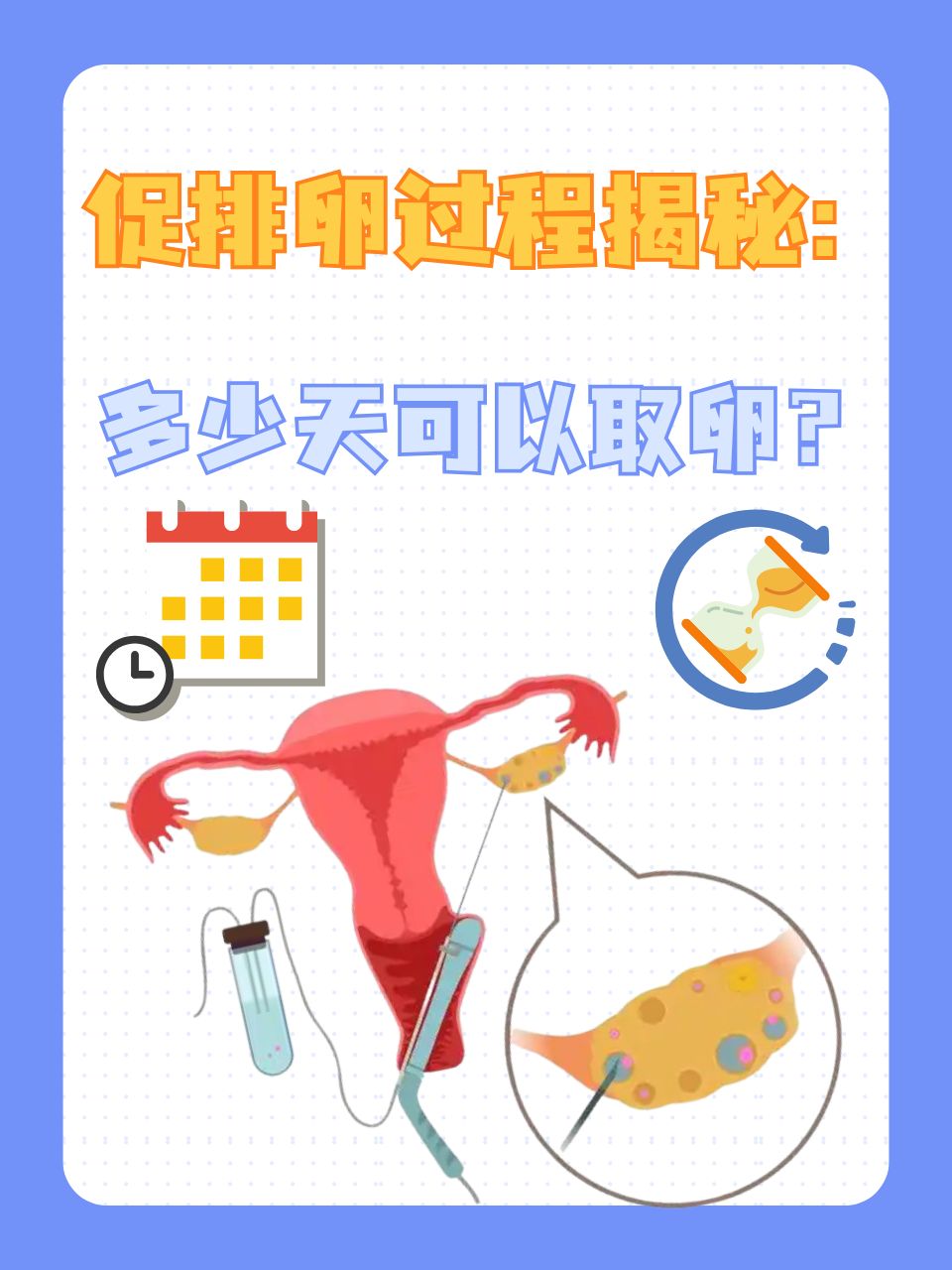 一次取卵多少比较好_取卵一次对身体危害大不大  第2张
