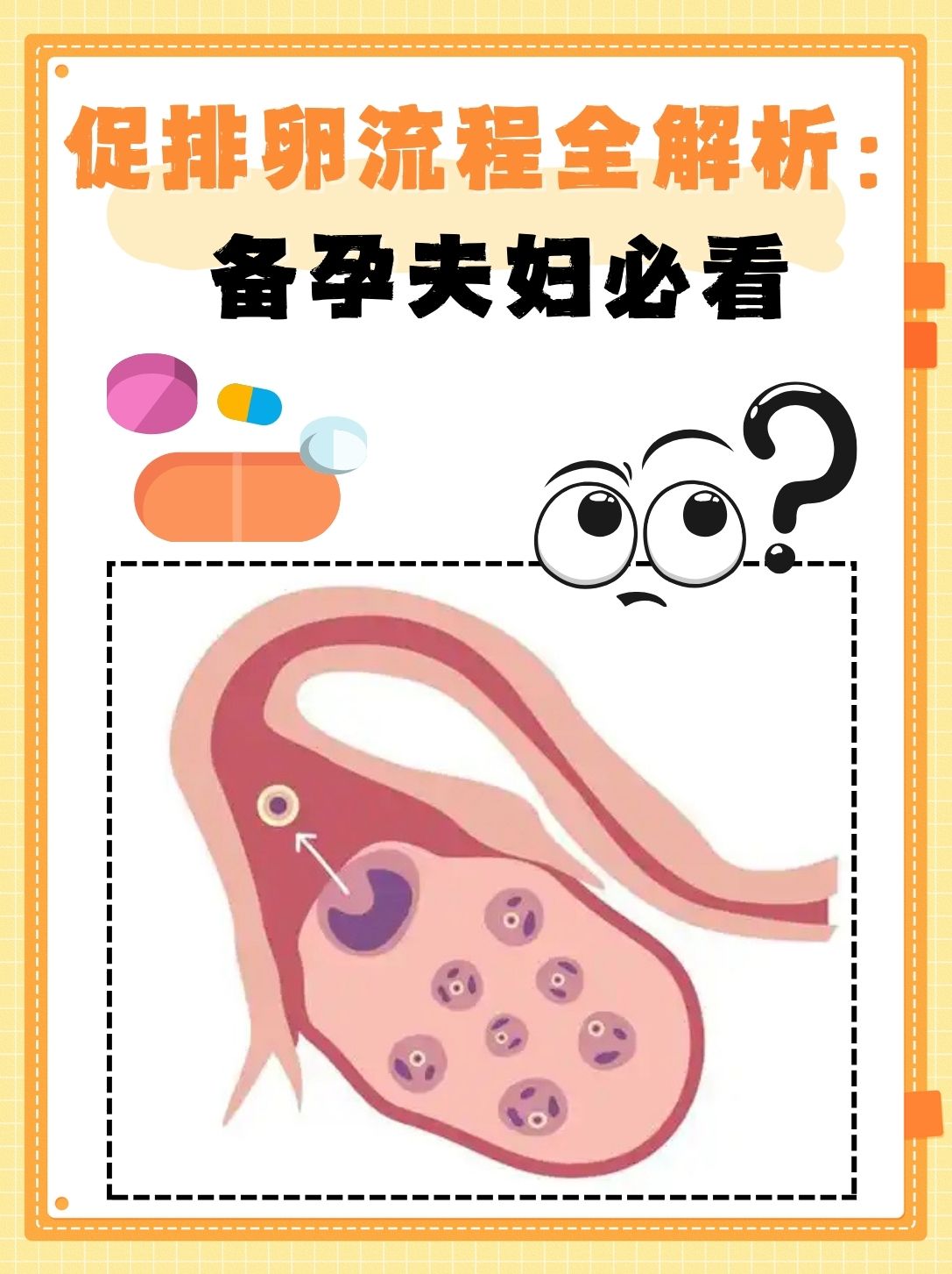 但促排卵到底是怎样一个过程呢?下面就来为大家详细讲解,让备孕夫