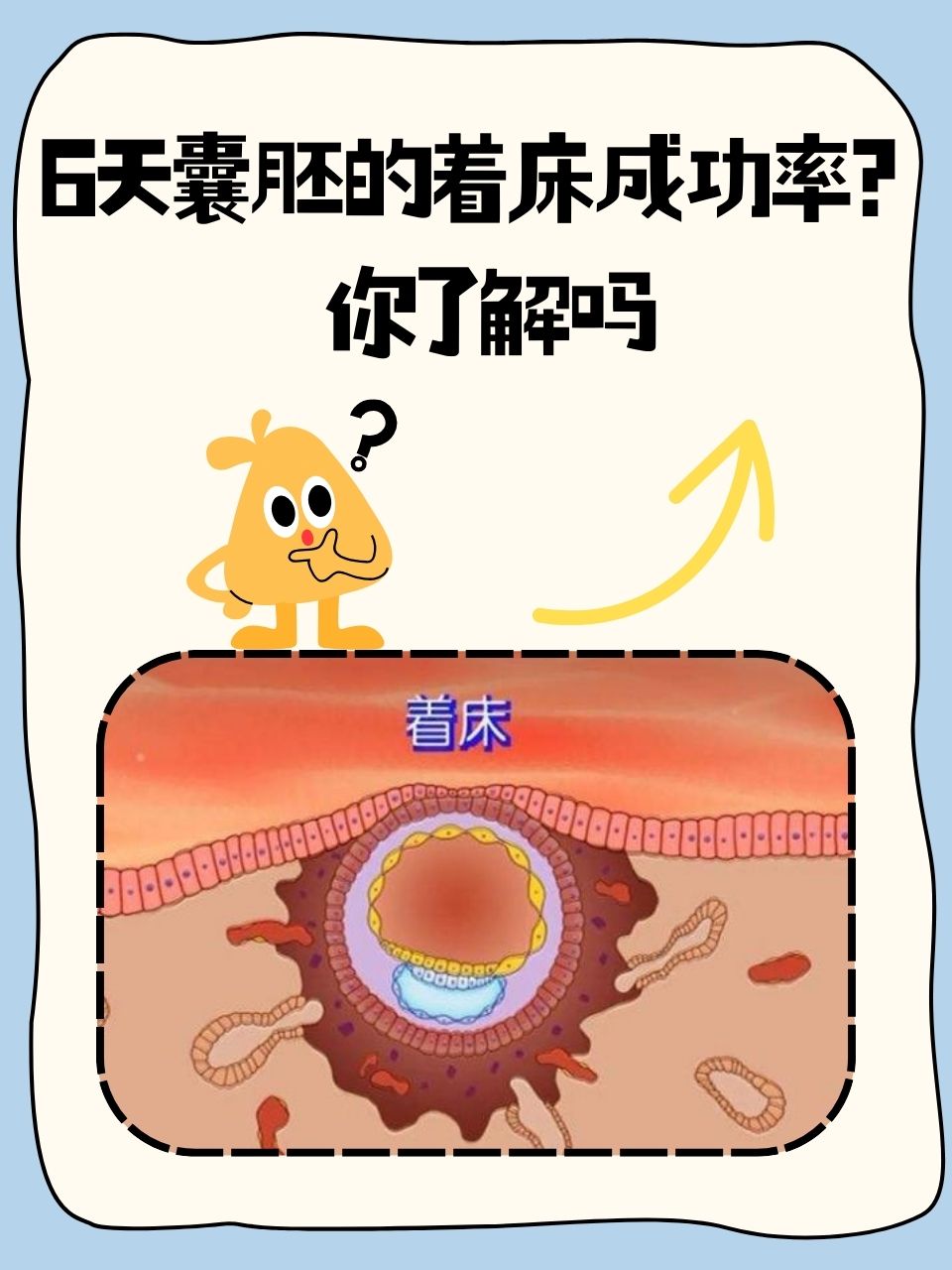 囊胚移植生男孩的几率高吗(囊胚移植男孩女孩哪个几率大)