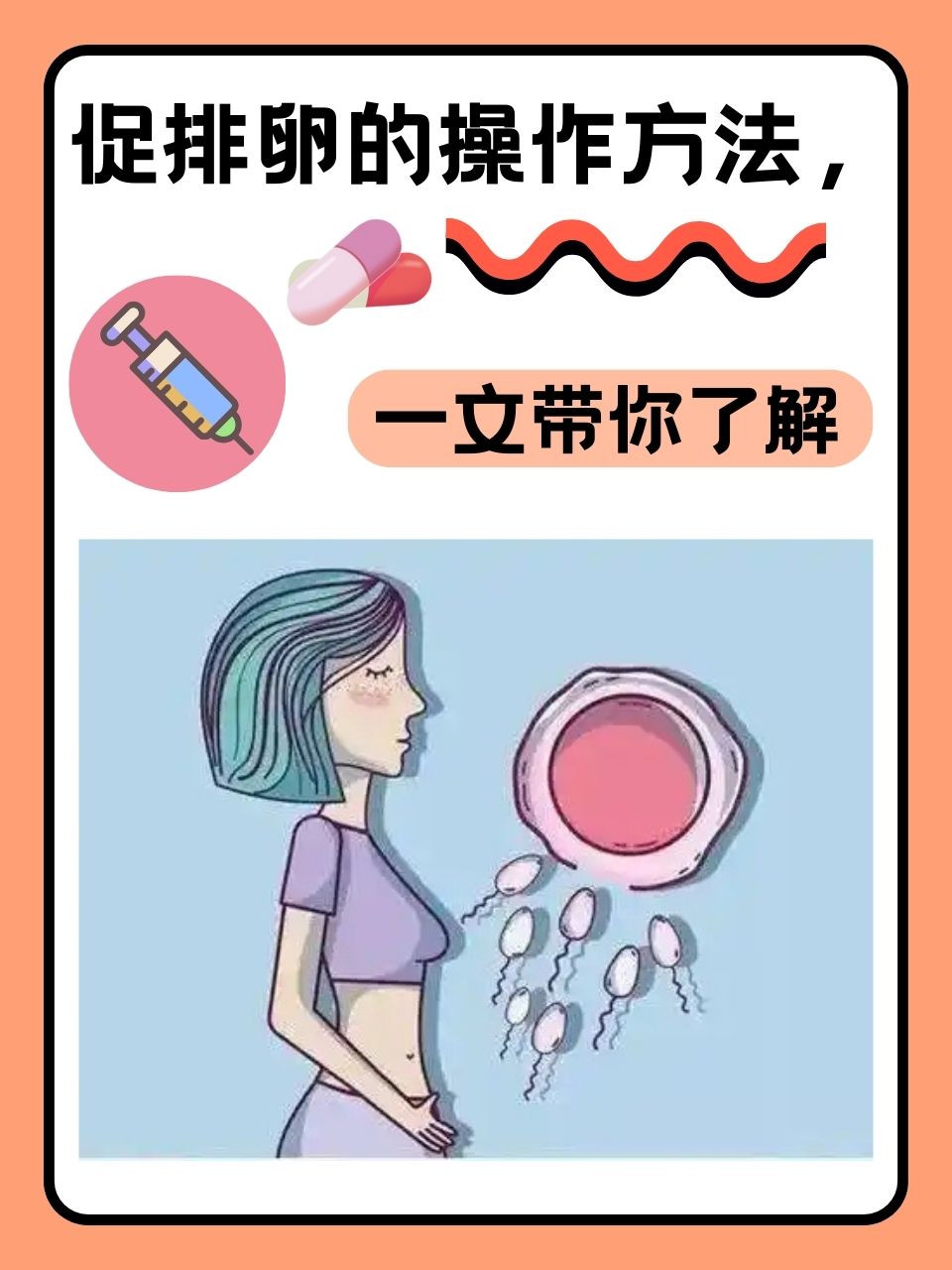 促进卵泡排出来的方法(怎么做可以促进卵泡生长排出)  第2张