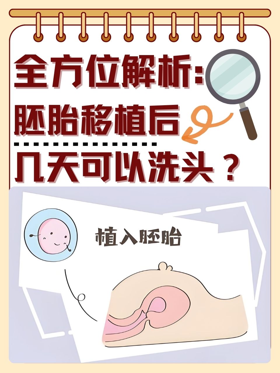 胚胎移植手术需要多久(胚胎移植手术需要多久时间)  第2张