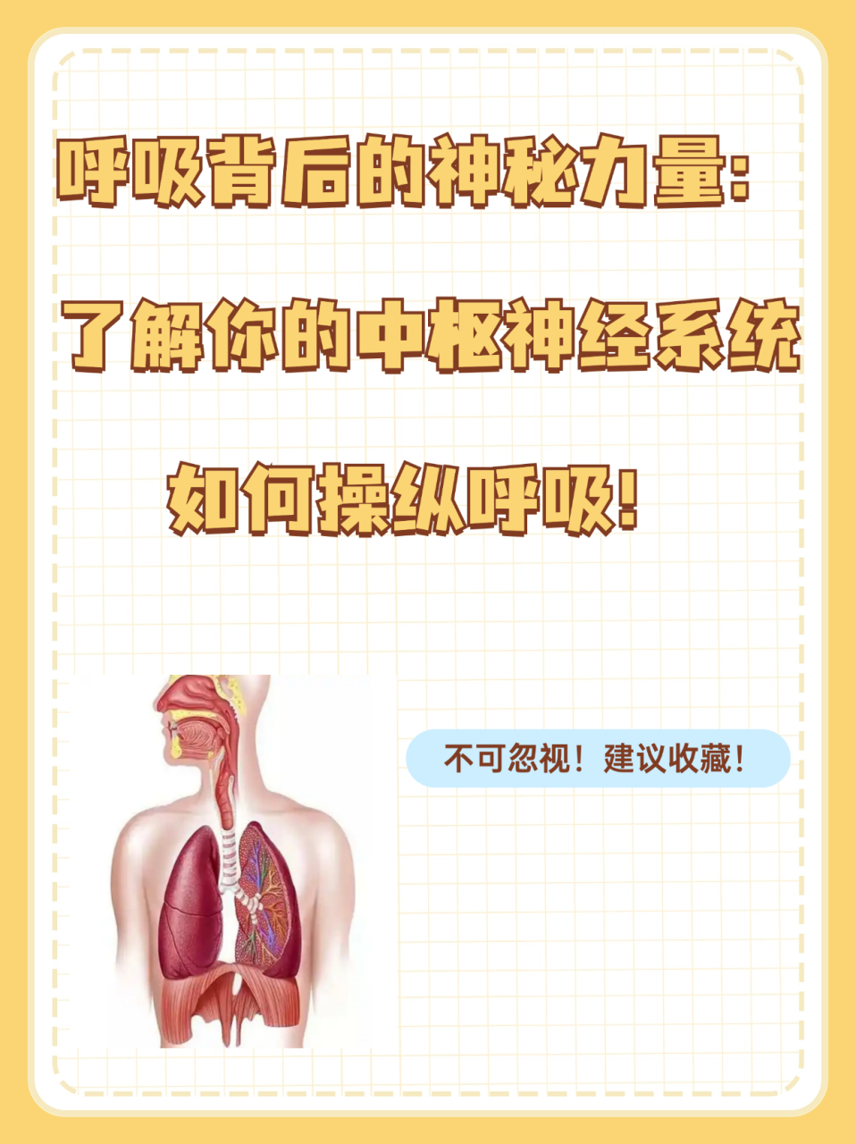 呼气注意心窝部图片