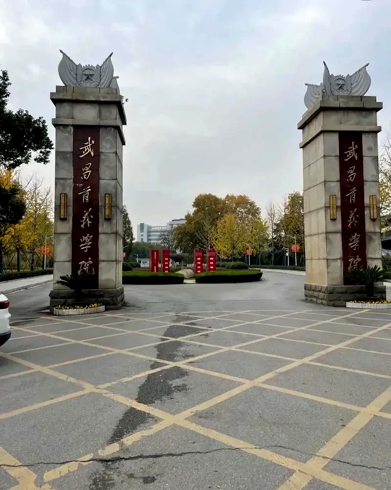 征集志愿,她就抱着死马当活马医的心态去试试,没想到真被武昌首义学院