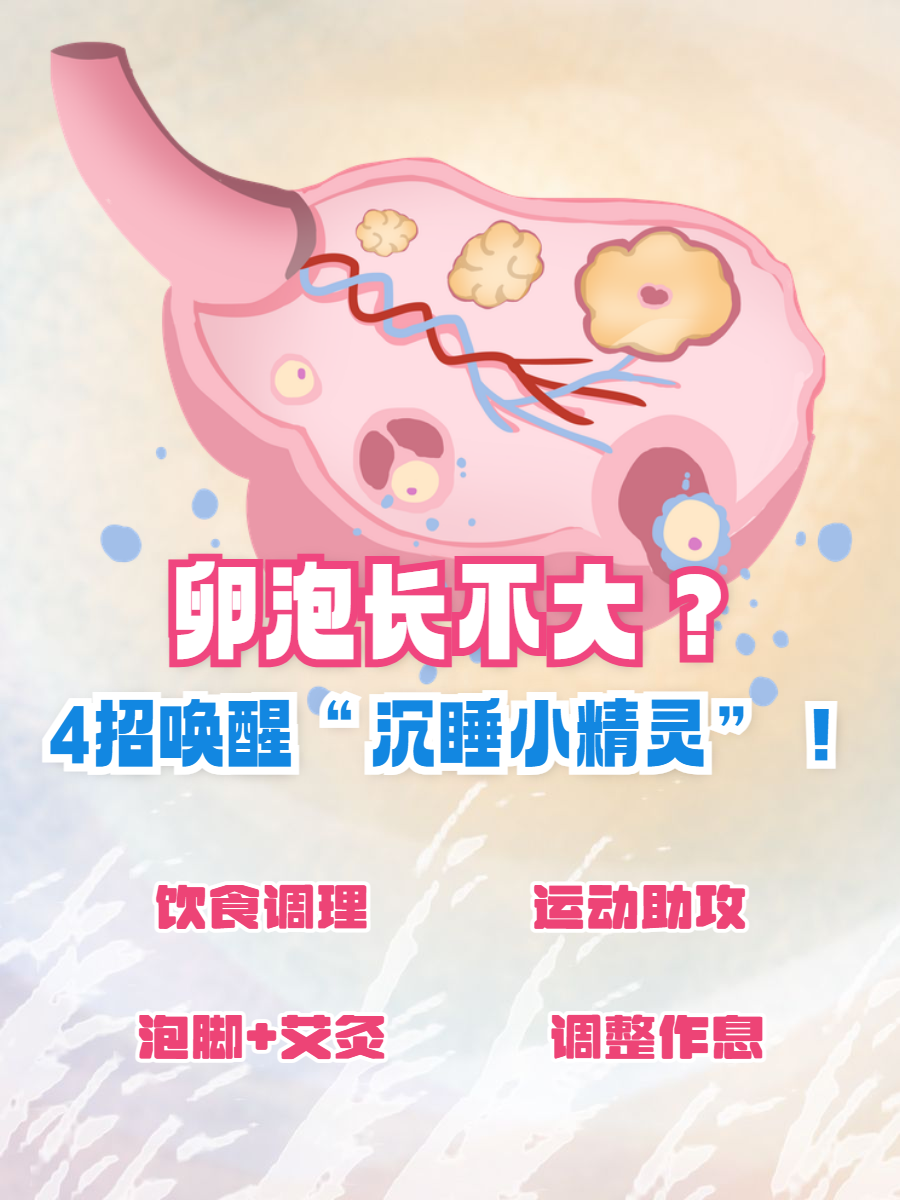 怎么可以让卵泡快点排(怎么样才能让卵泡快速排出来)