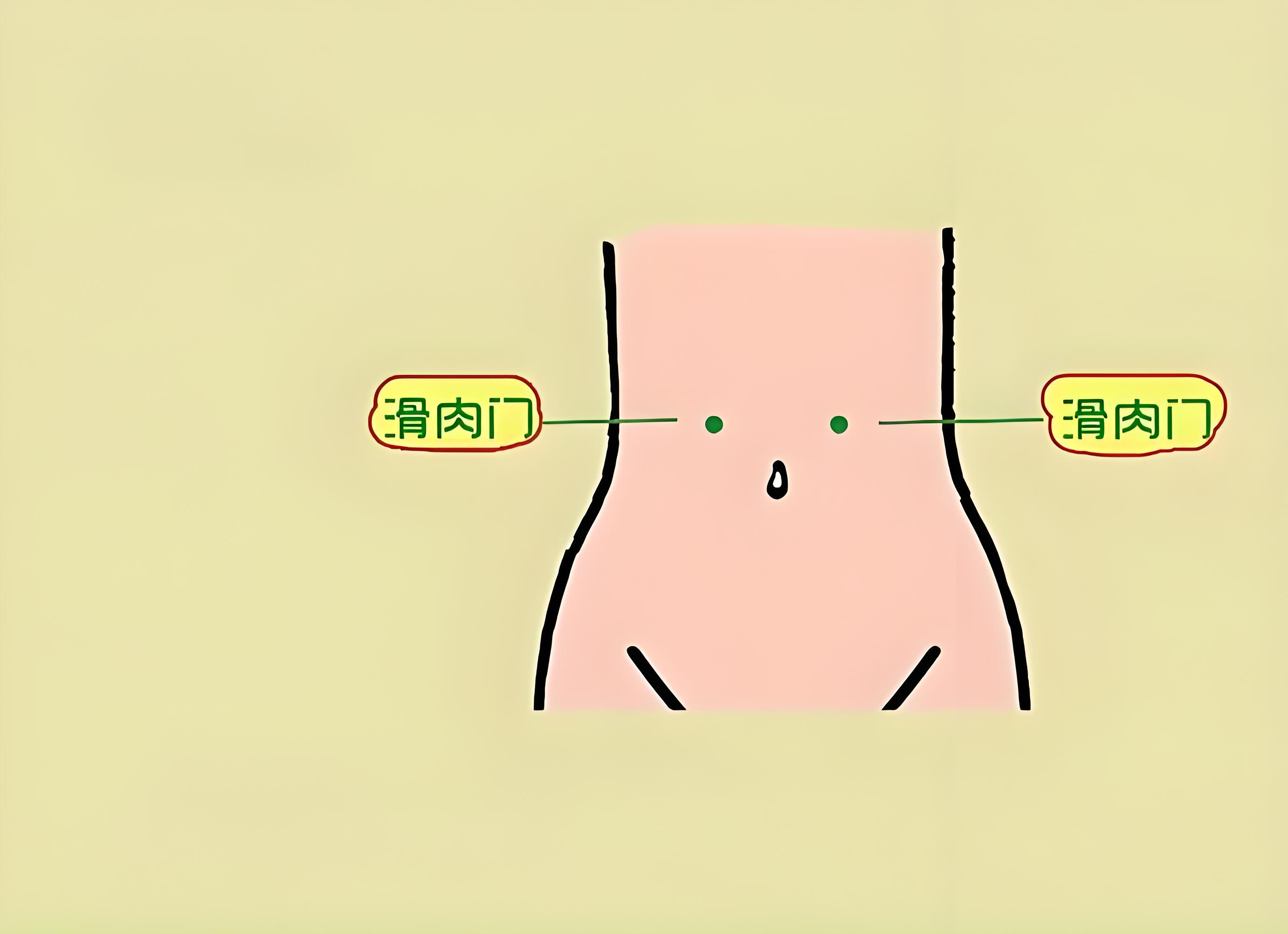 中医没有肥胖,只有"痰湿"!艾灸四个"特效减肥穴",轻松"享"瘦!