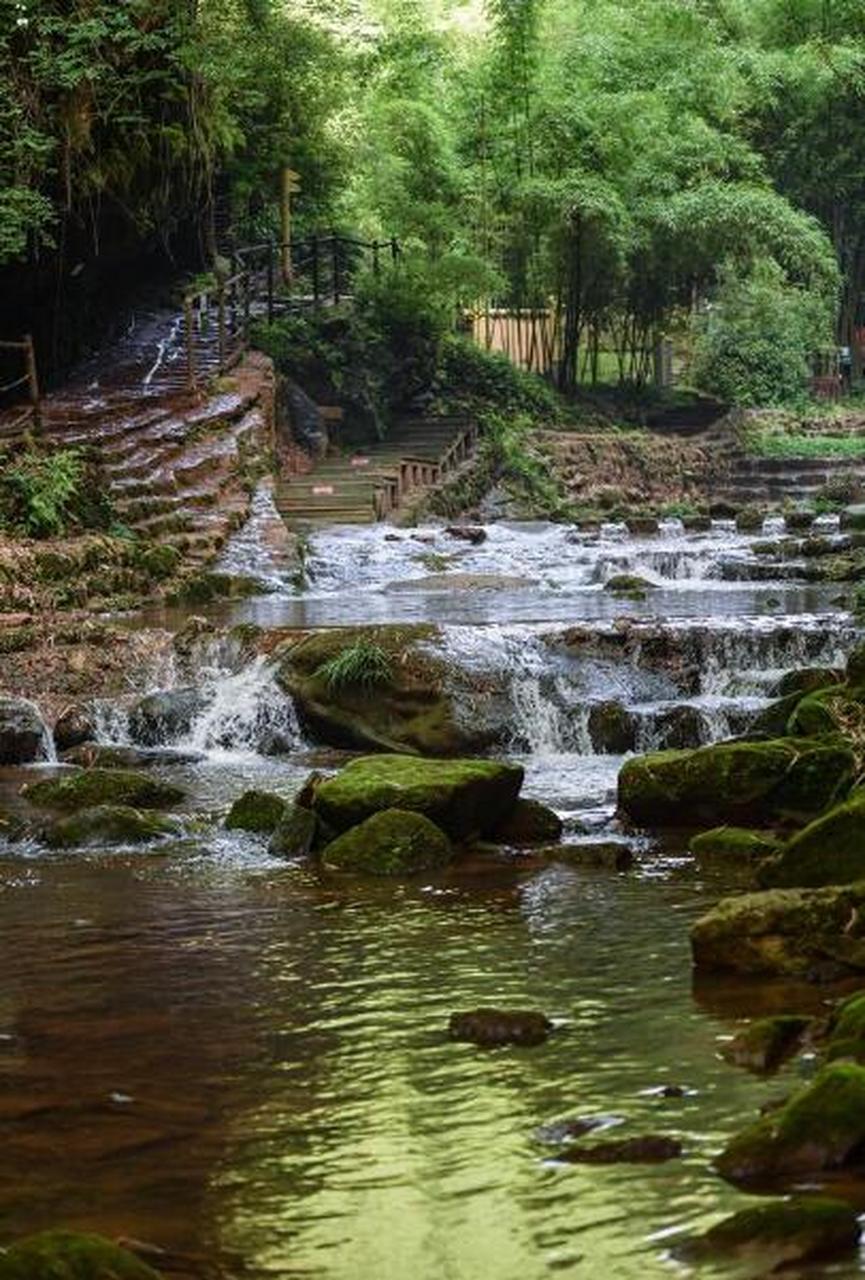 川西竹海景区藏在邛崃的大山之中,这里面竹林茂盛,堪称一片竹海,甚是