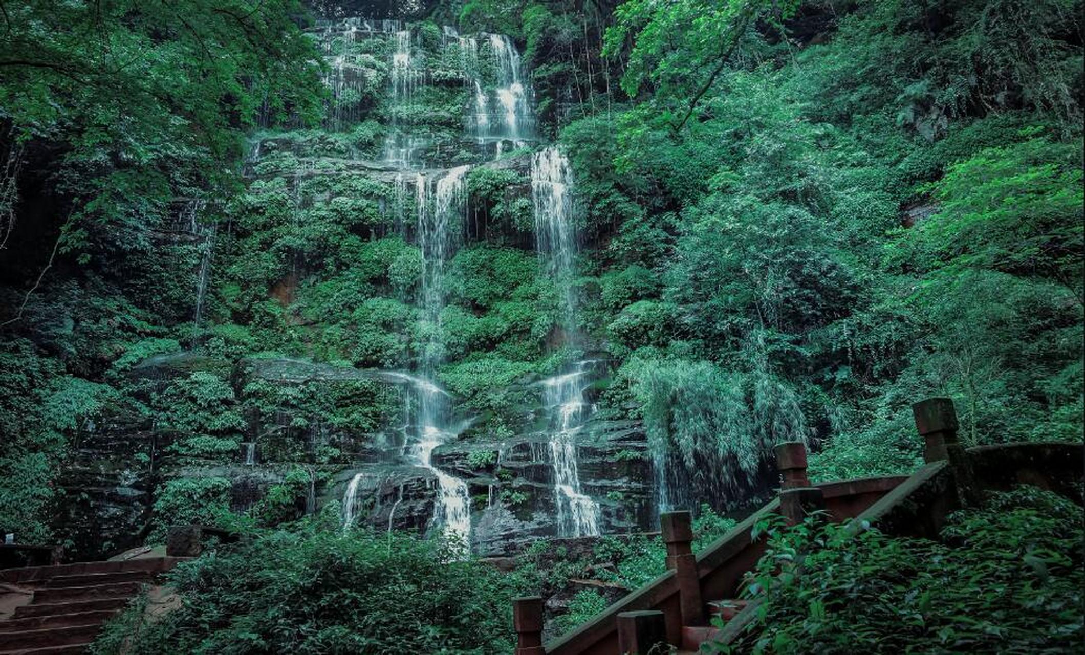 想要亲近大自然,探索邛崃的生物多样性,就