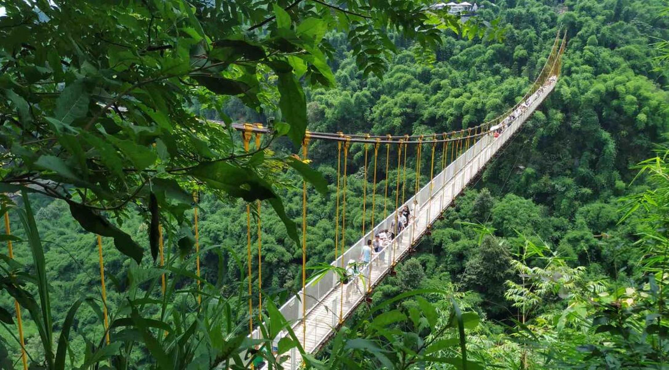 探索邛崃生物多样性