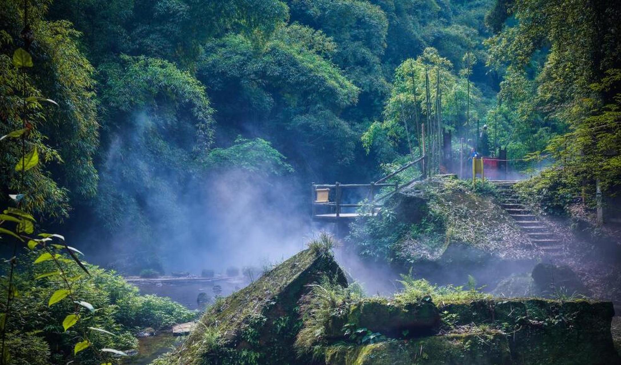 邛崃竹海风景区图片图片