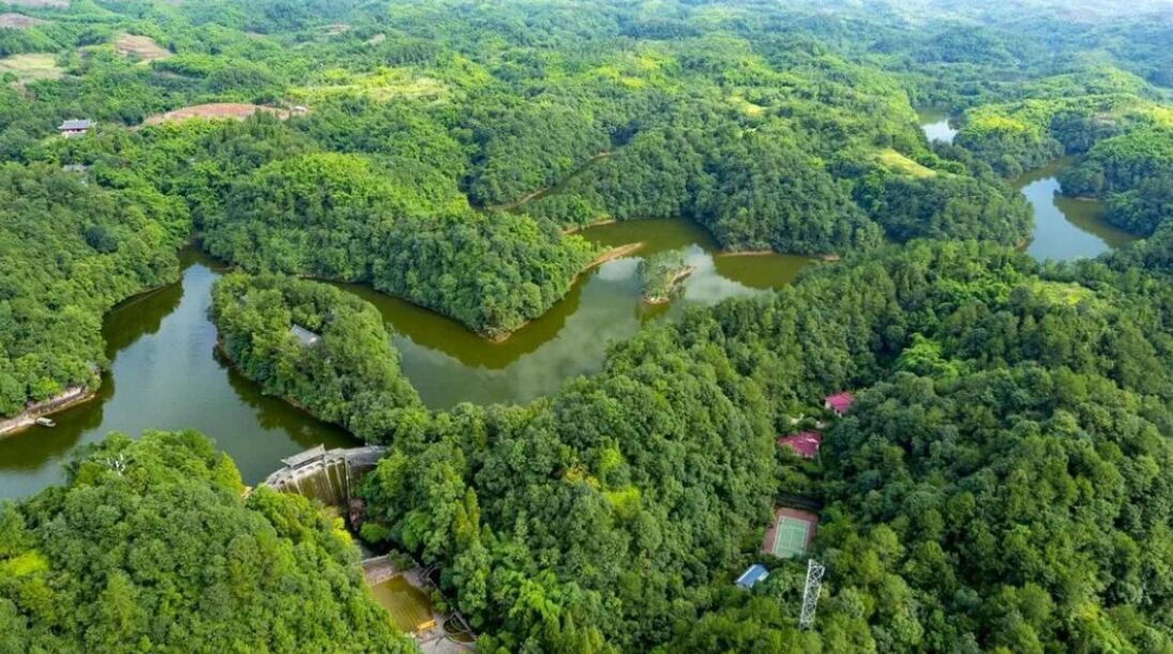 邛崃竹溪湖真是太美了,整个湖面呈掌状,绿岛点缀其间,青山爽朗,绿水