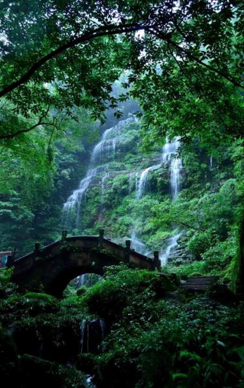 邛崃竹海风景区图片