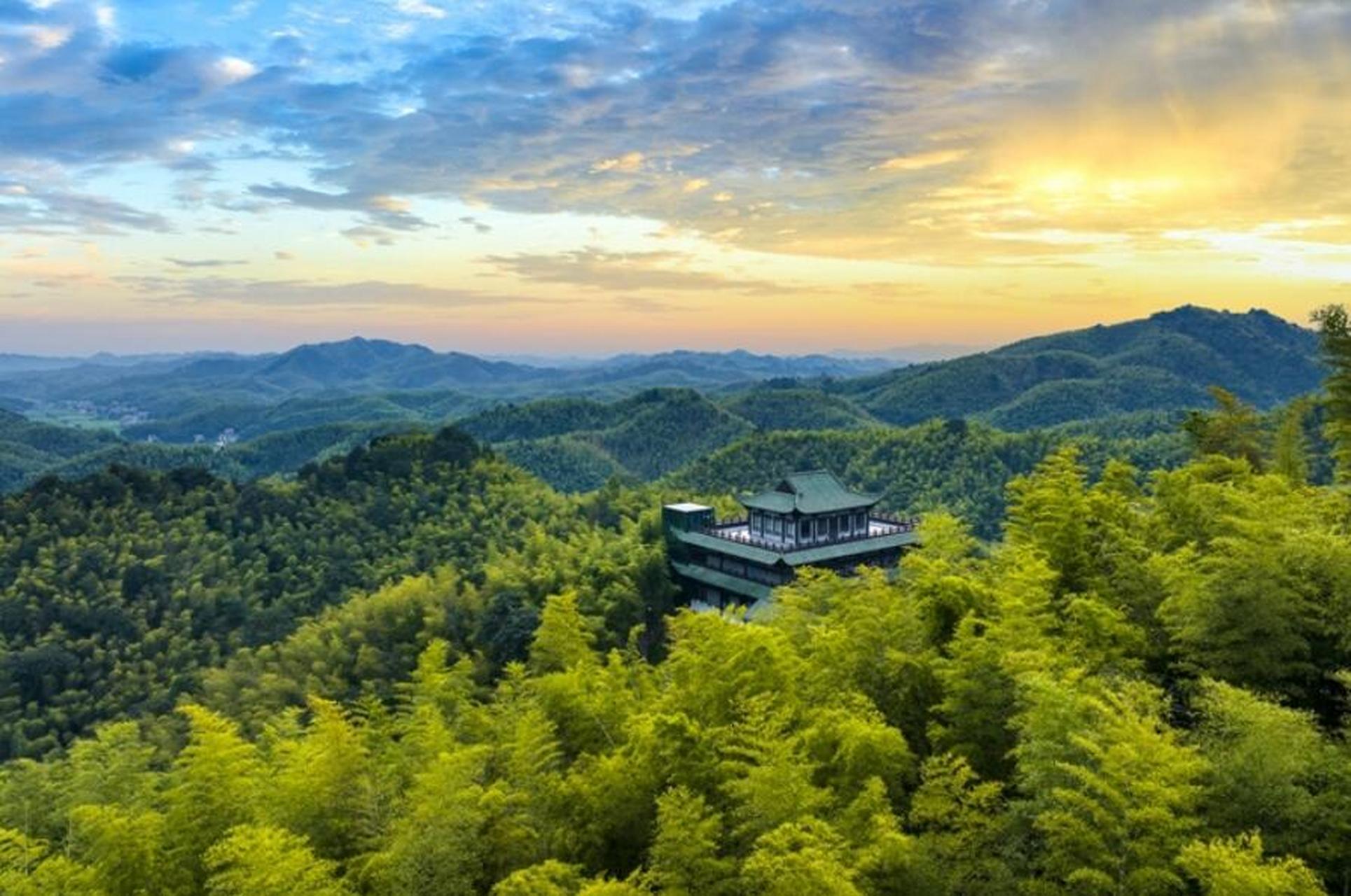 湖南省益阳市桃花江竹海景区有5万亩竹林,翠色欲滴,宛若一片绿色的