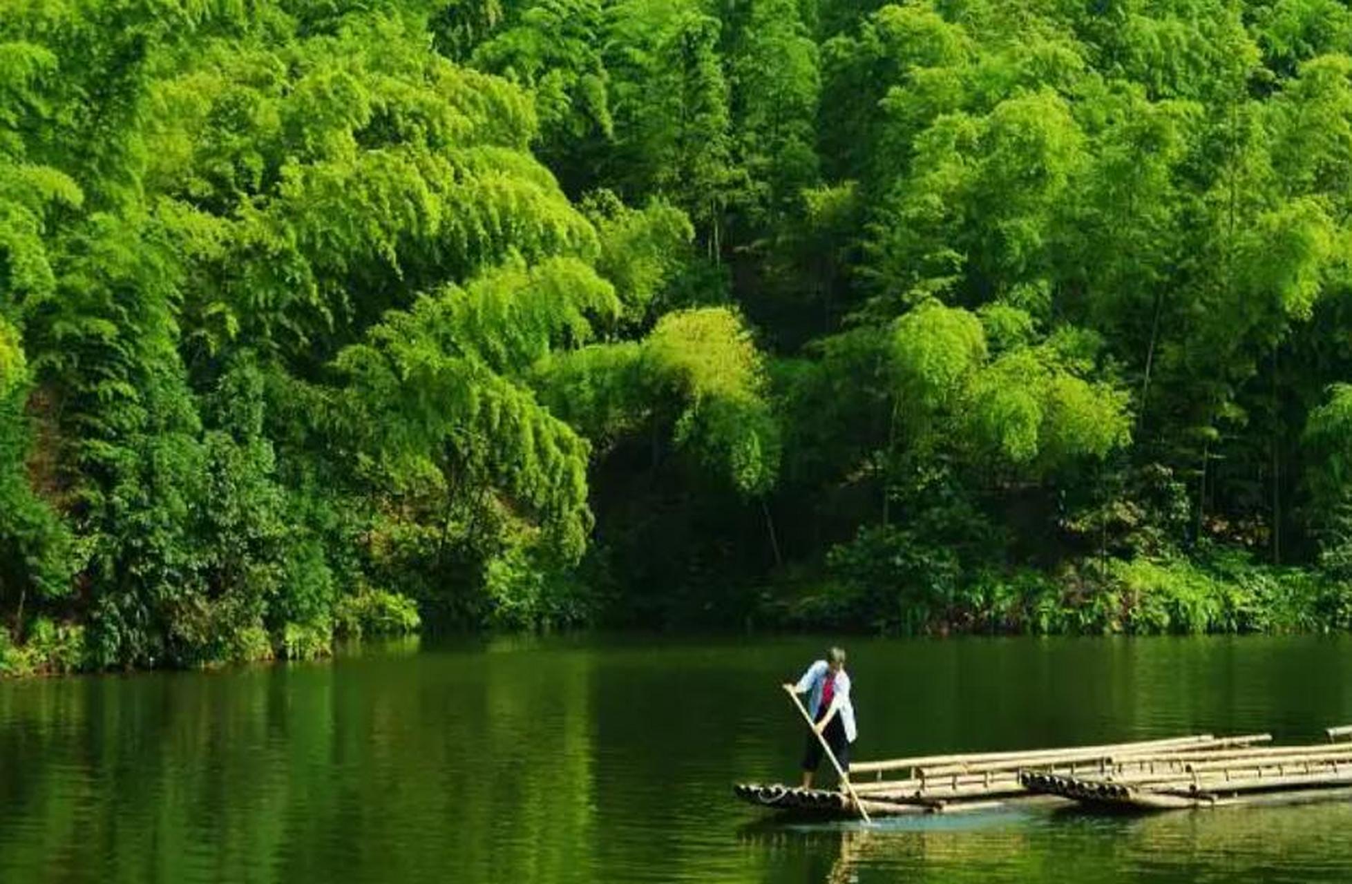 湖南省益阳市桃花江竹海景区有5万亩竹林,翠色欲滴,宛若一片绿色的