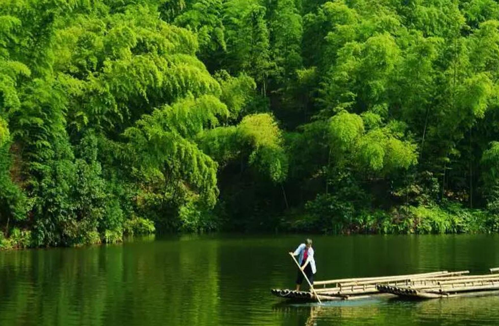 益阳竹海图片