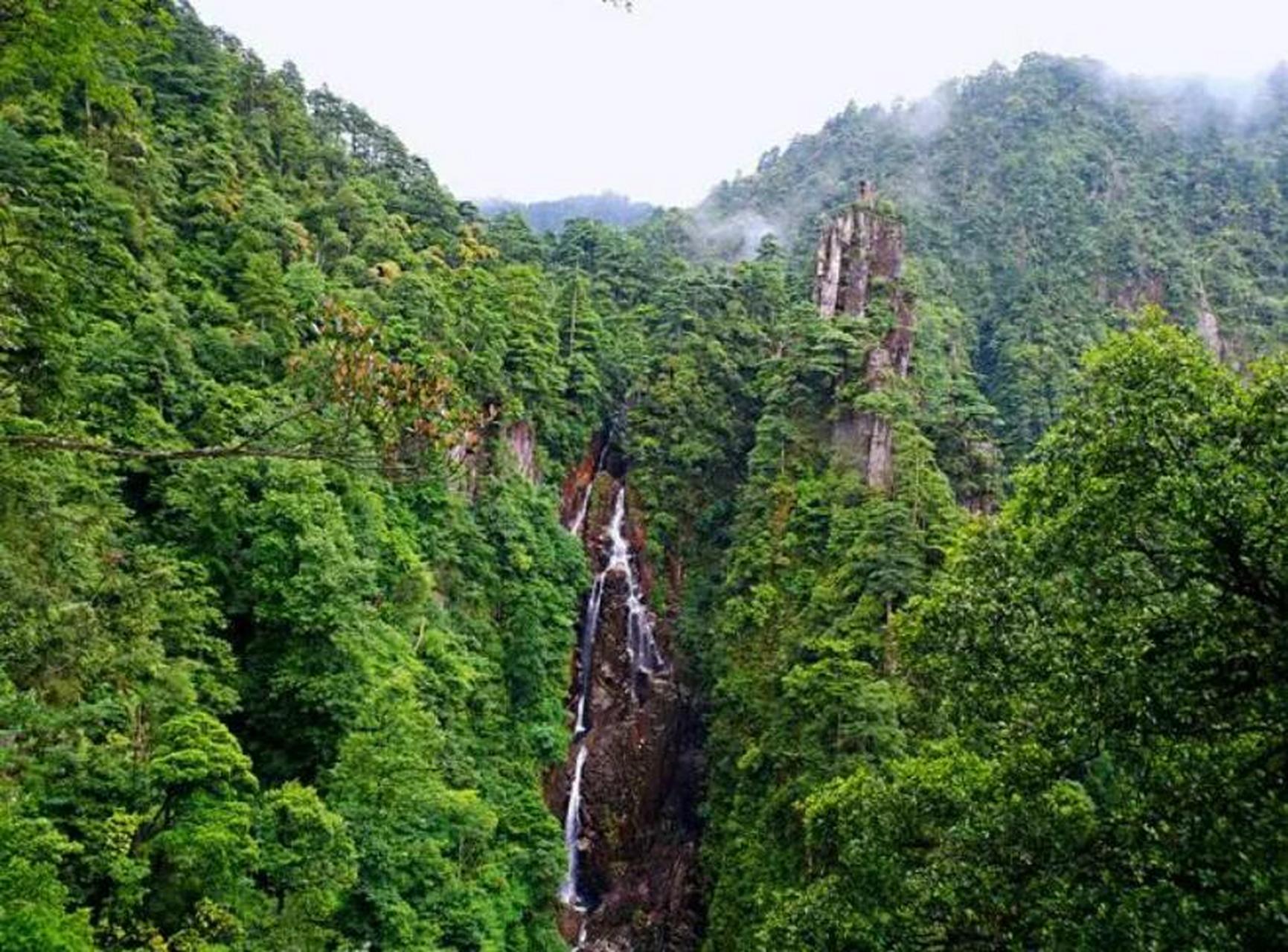 炎炎夏日,湖南郴州市的莽山国家森林公园只有20度,这样也太凉爽了吧!