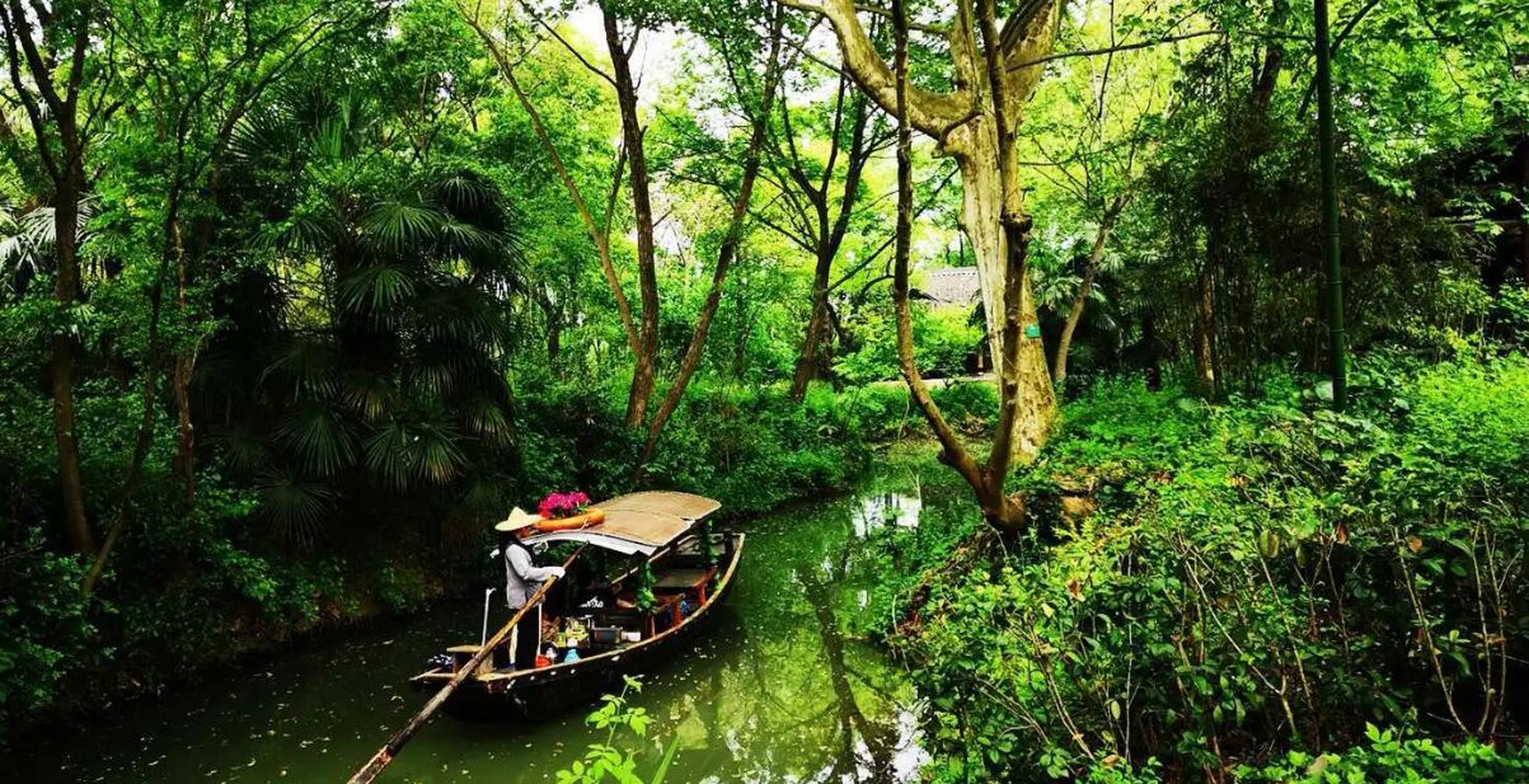 夏天的杭州西溪湿地这也太美了,这里宛若一个绿色的海洋,湖水清澈见底