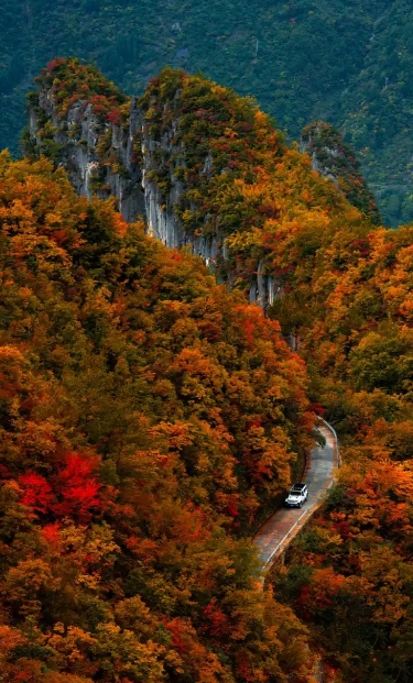秋天来了,重庆兰英大峡谷真是太惊艳了!