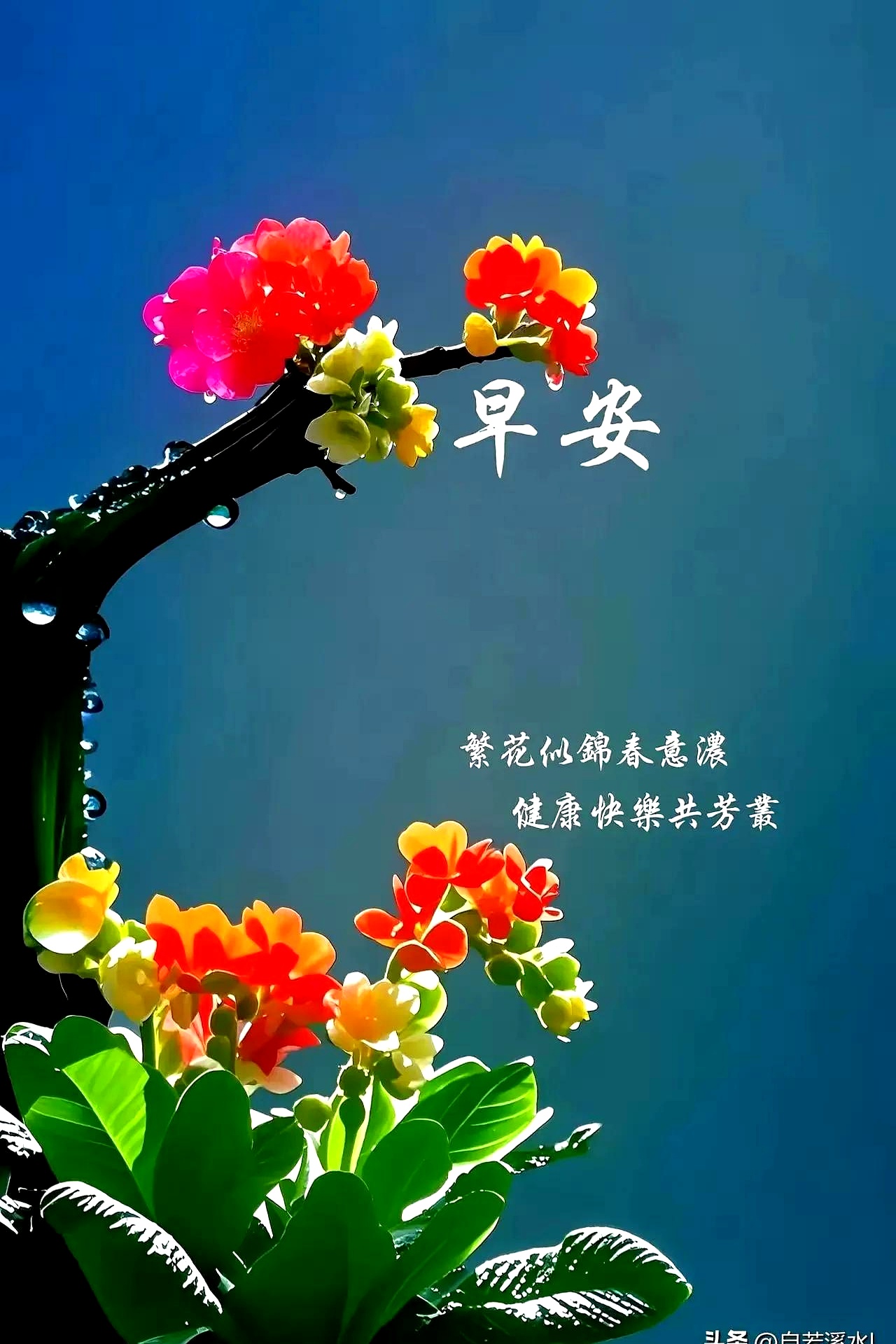 有人告诉你:靠自己!