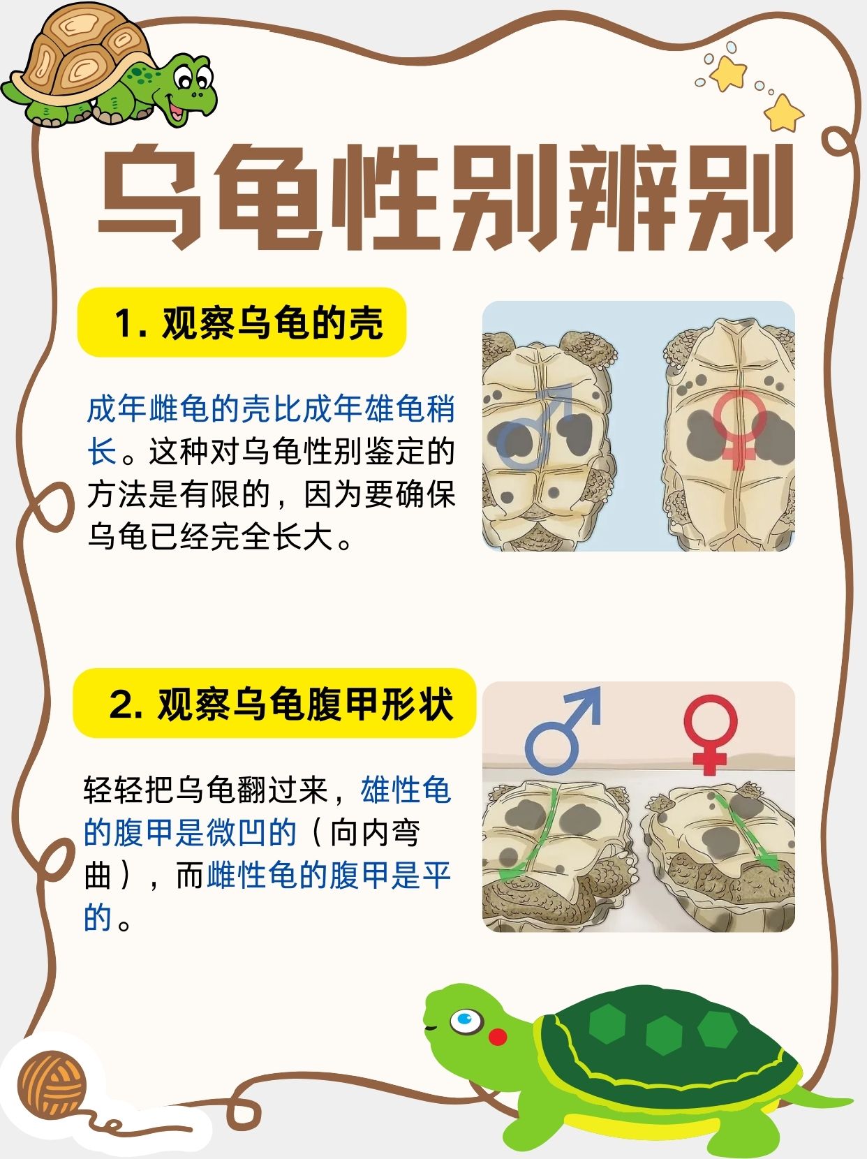 教你辨别乌龟年龄的正确方式  养龟的朋友们都知道,乌龟的寿命是很长