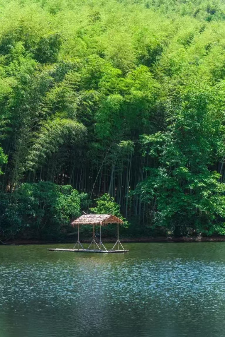 蜀南竹海,一片翠绿的海洋.