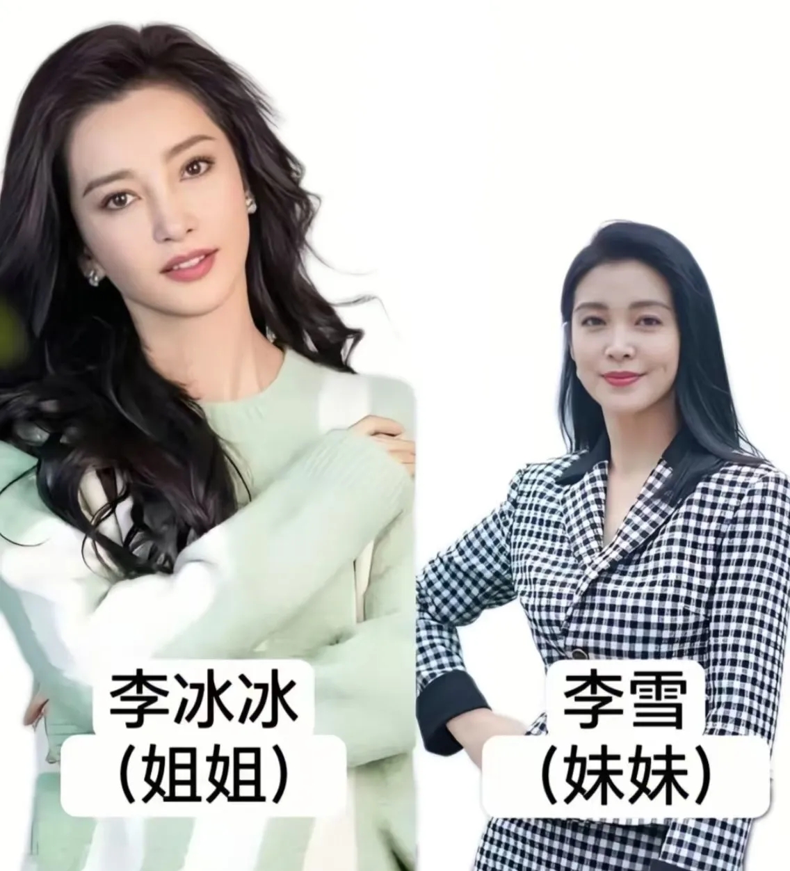 鲍蕾和鲍莉就是其中一对低调却又特别养眼