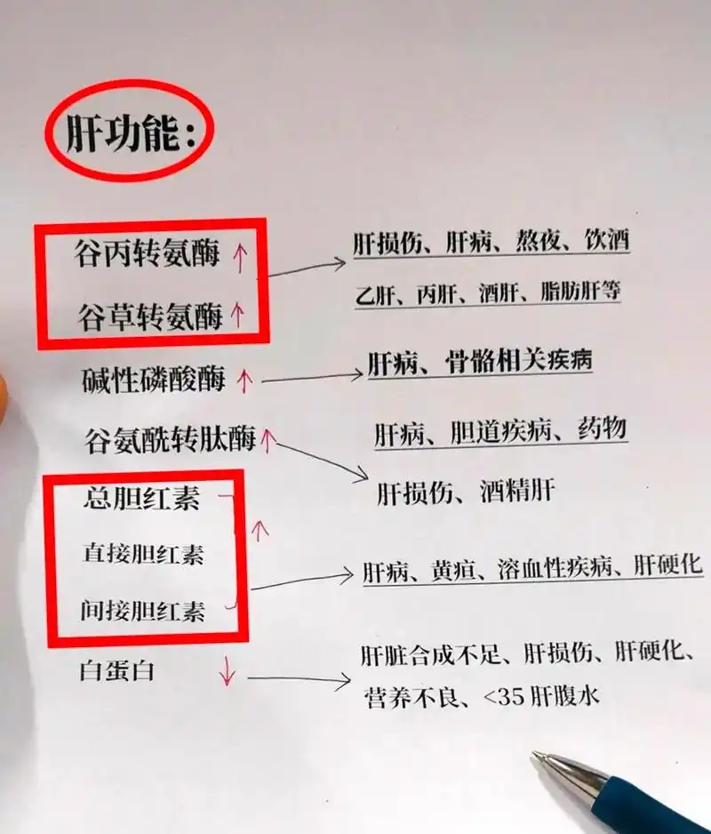 孕妇为什么要查肝功能