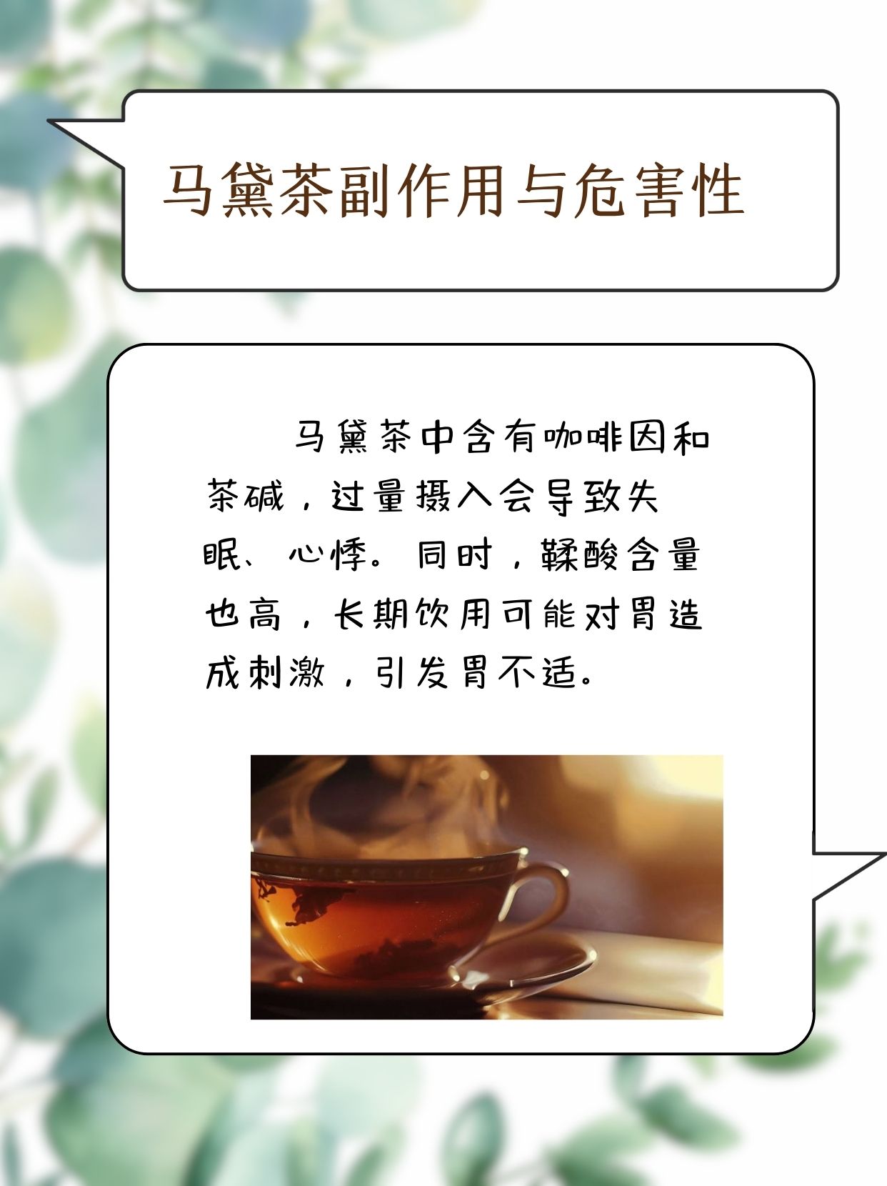 马黛茶的功效与作用图片