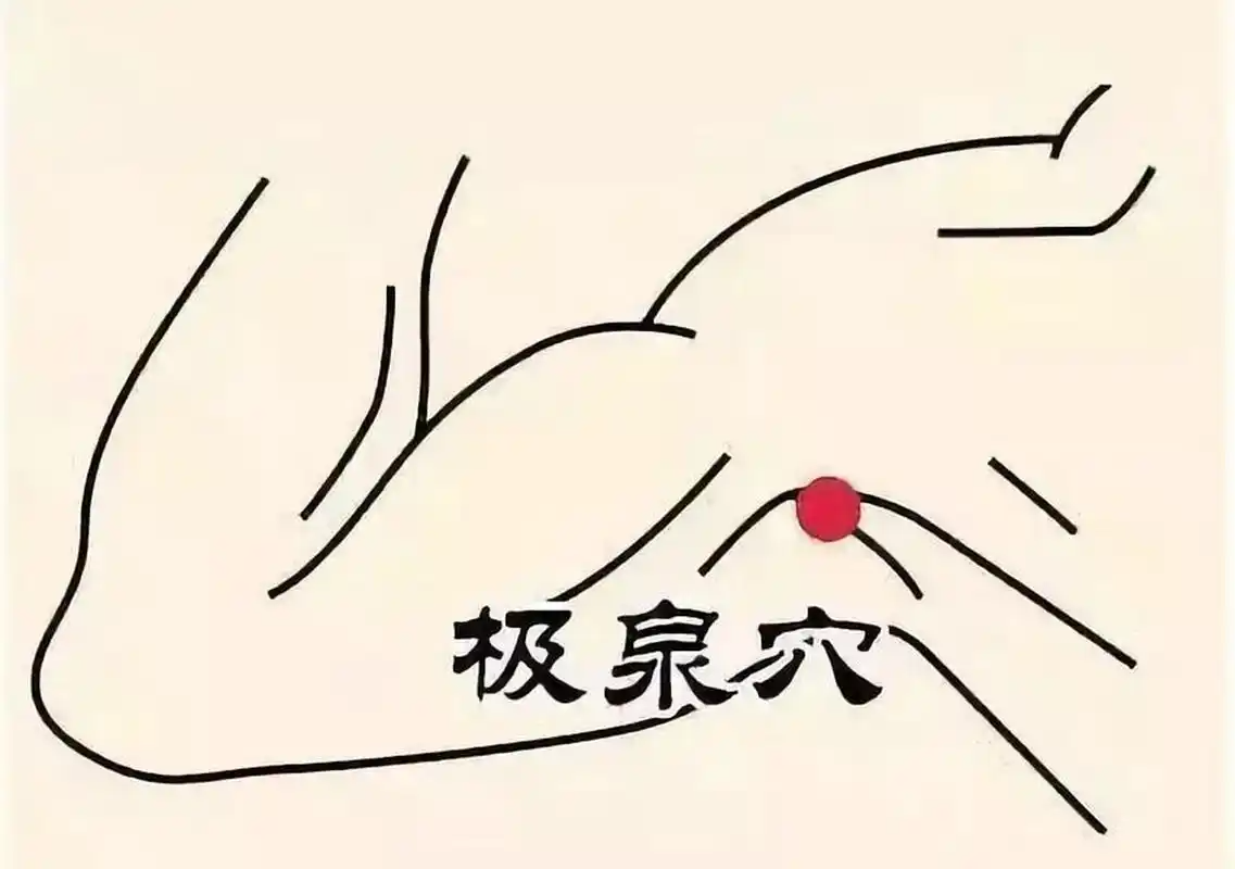 图标反关脉与斜飞脉位置图心梗倒下按哪个位置图心痛按摩哪个部位缓解